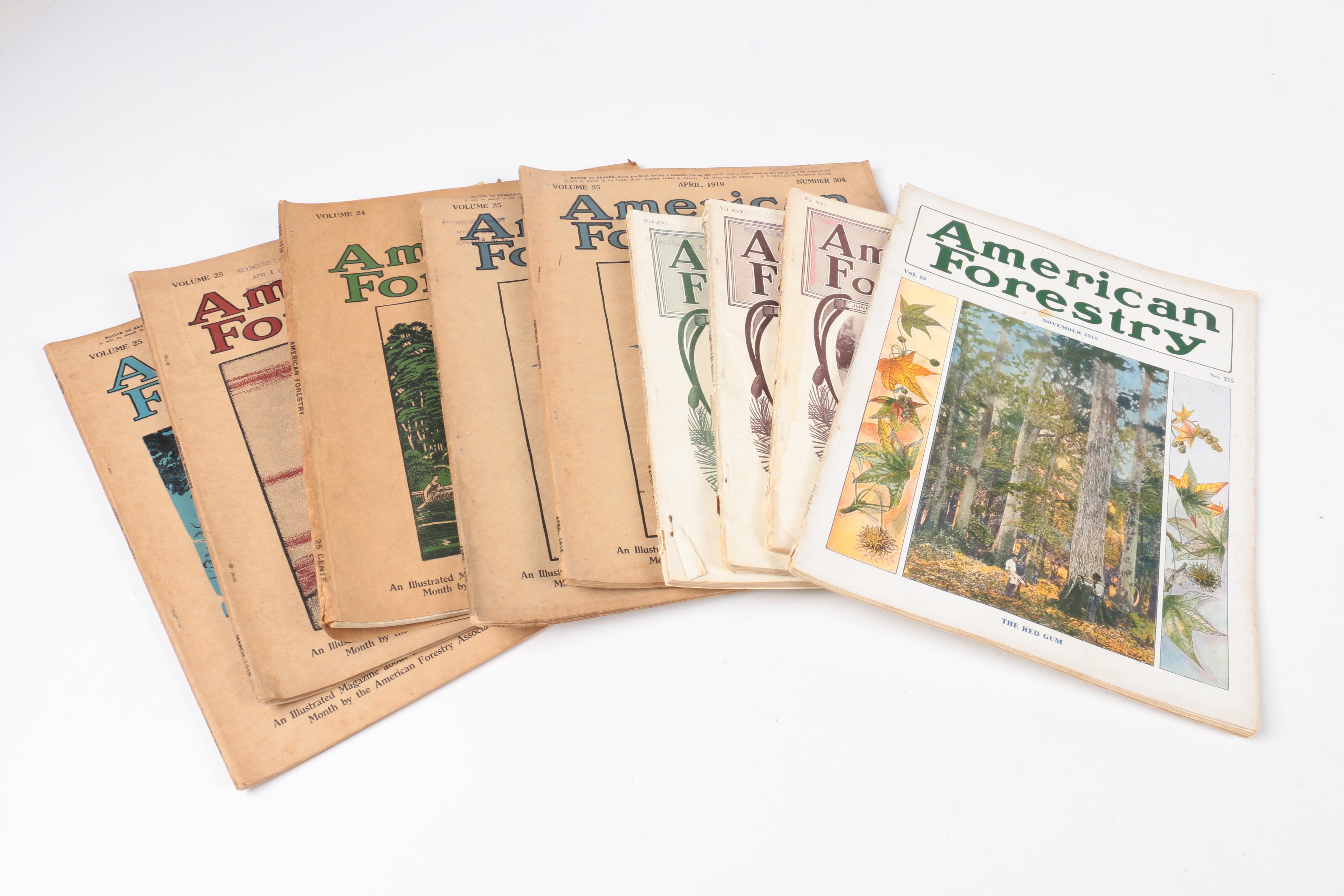 Early 20th-Century "American Forestry" Magazines