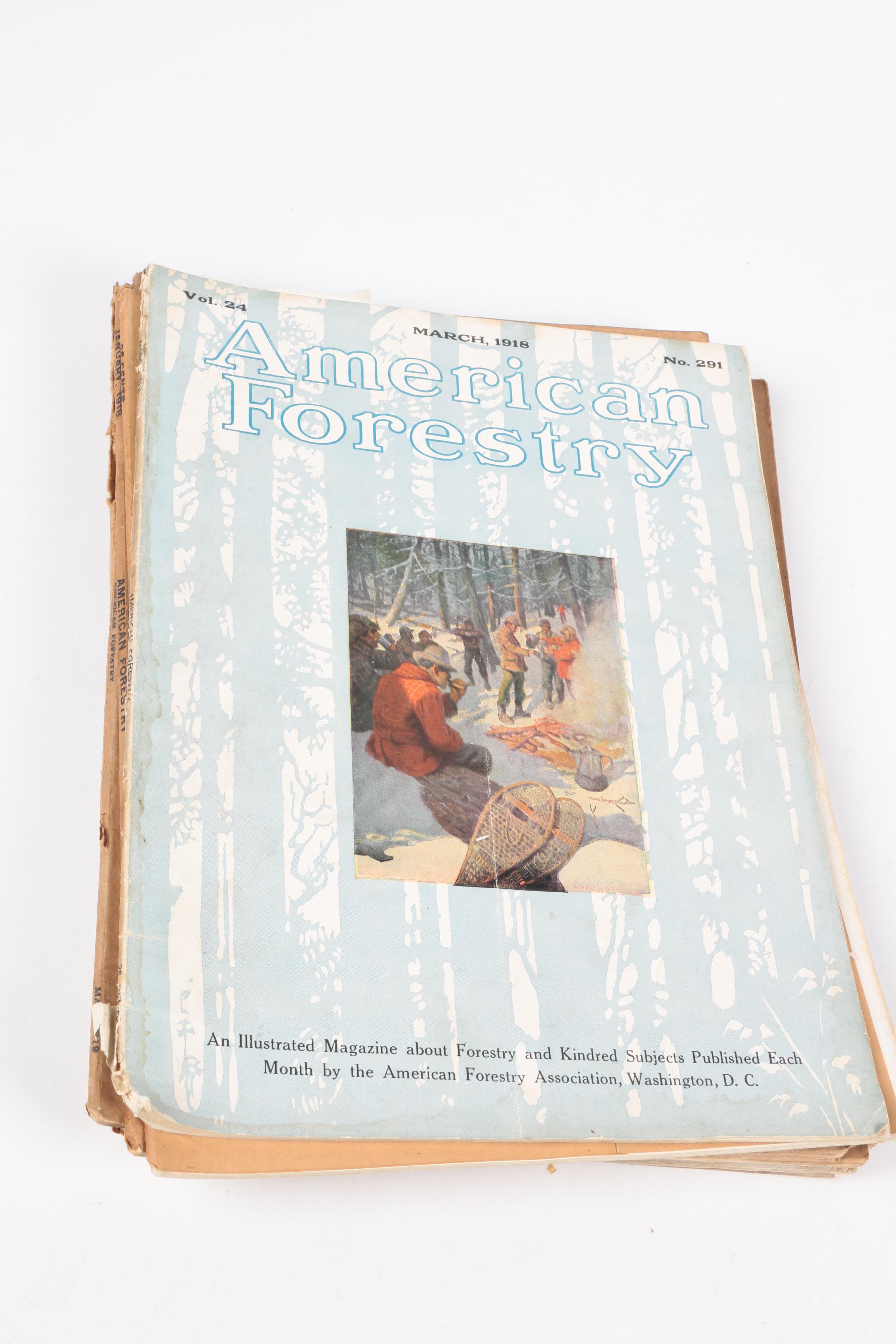 Early 20th-Century "American Forestry" Magazines