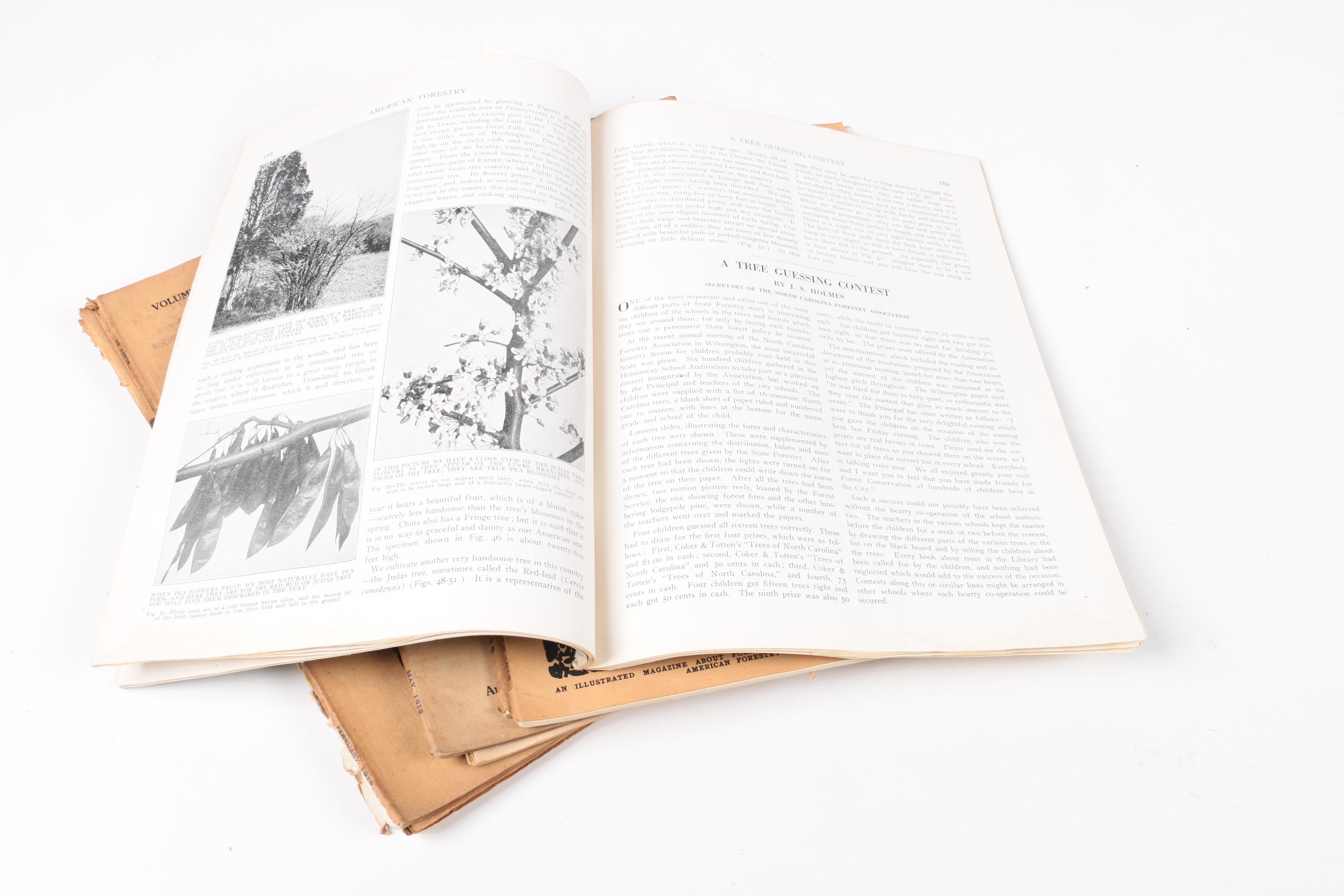 Early 20th-Century "American Forestry" Magazines