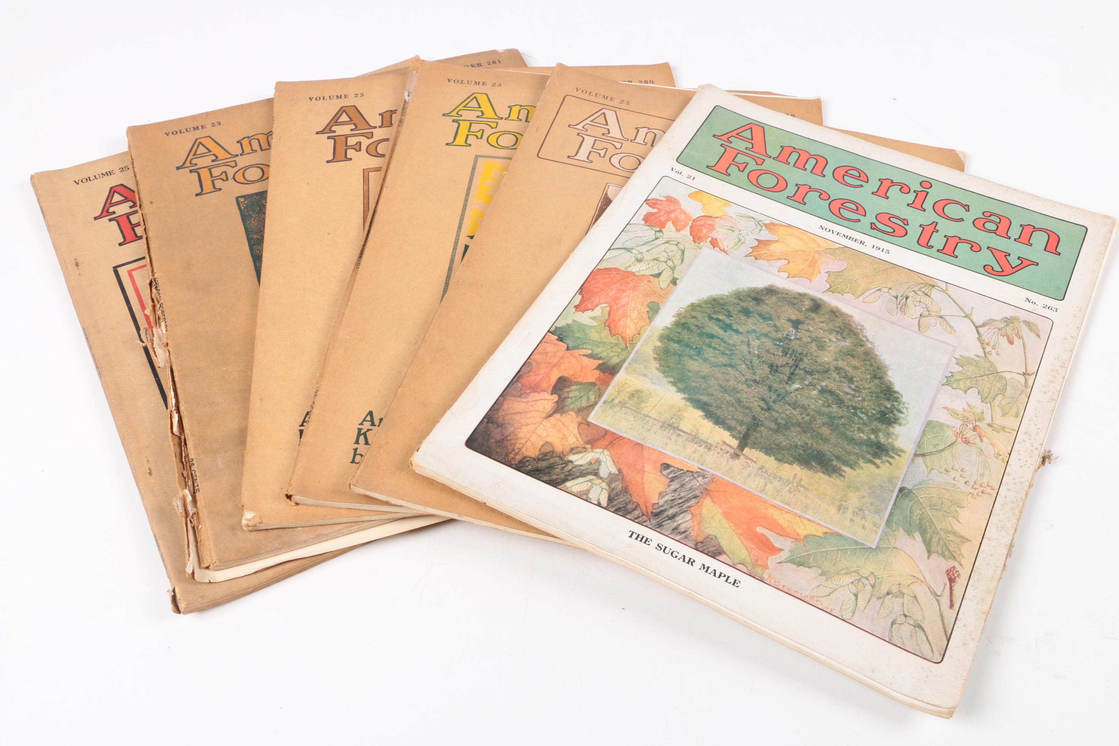 Early 20th-Century "American Forestry" Magazines