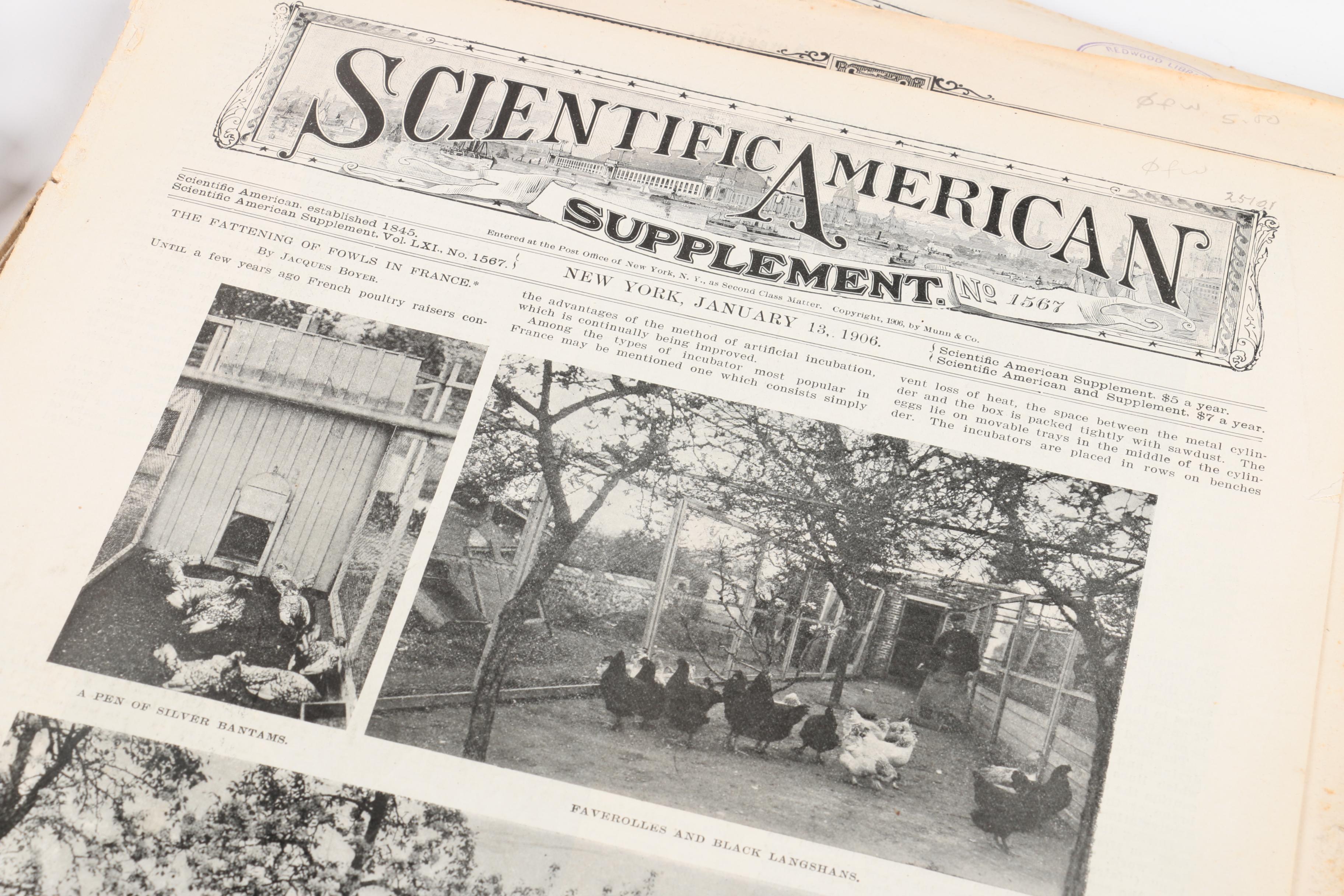 Collection of "Scientific American" Magazine