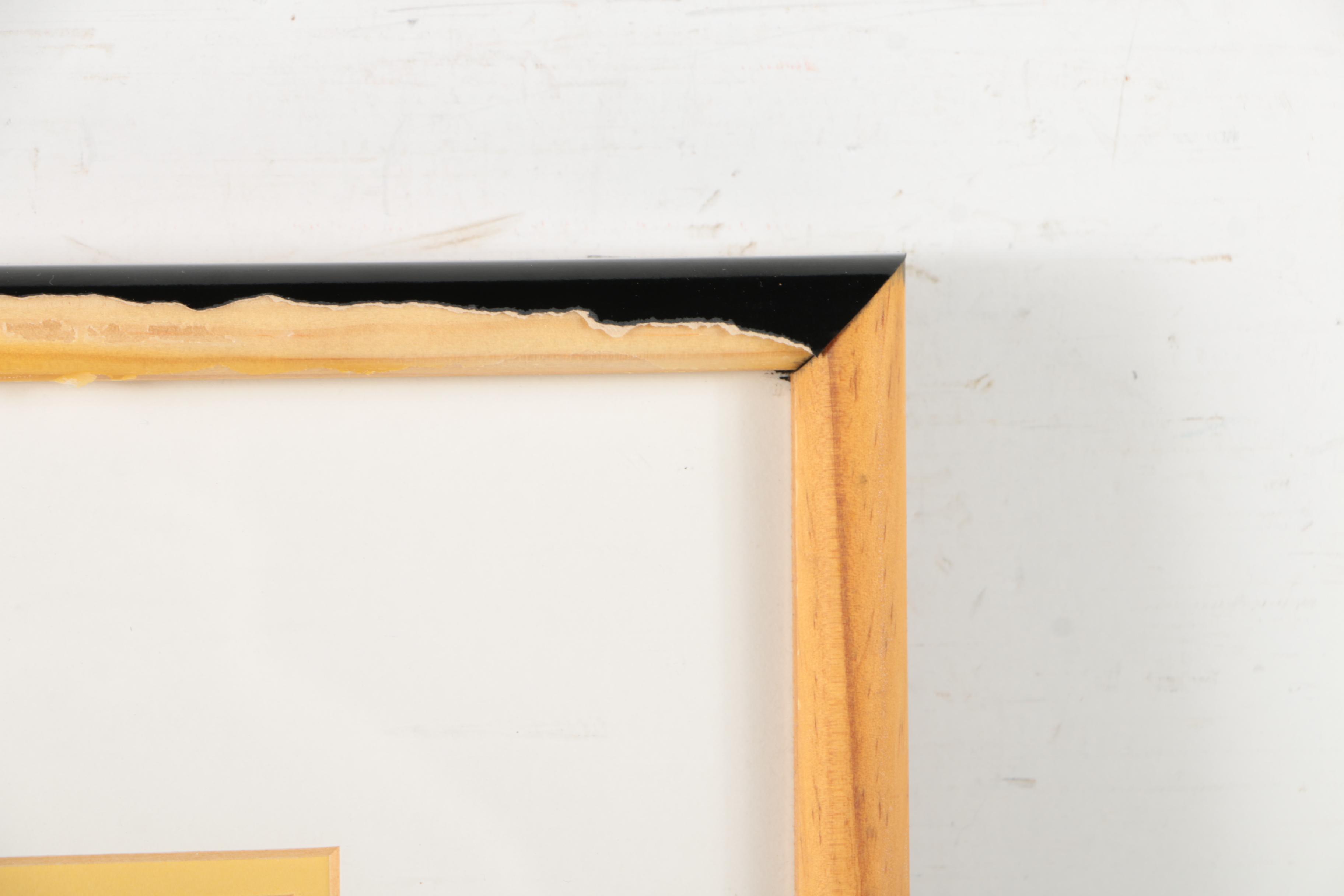 Jerry Eisenberg Limited Edition Serigraph After Sericel "The Banana Splits Band"