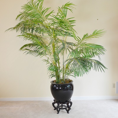 Large Faux Palm Tree Asian Style Planter