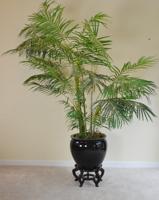 Large Faux Palm Tree Asian Style Planter