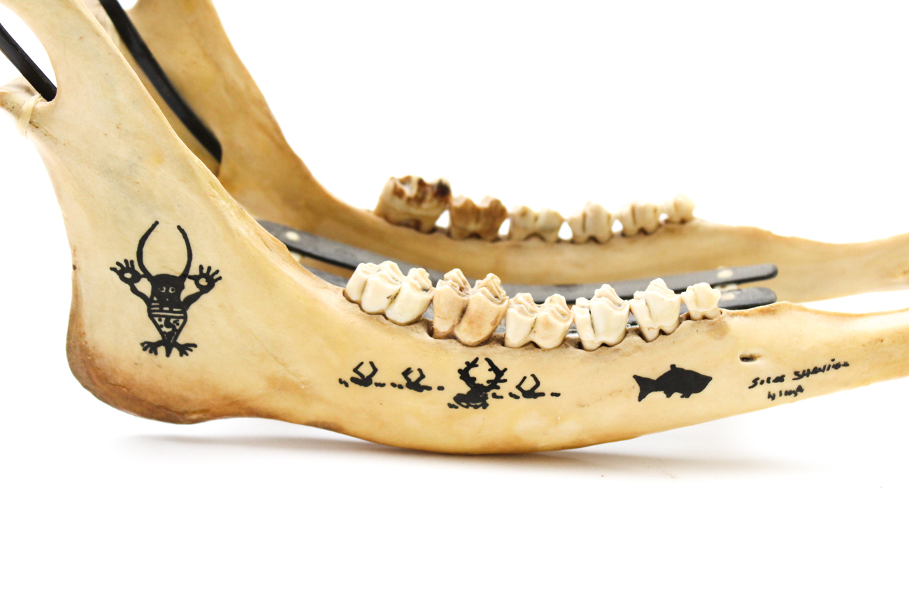 White Tail Deer Jawbone Wine Holder