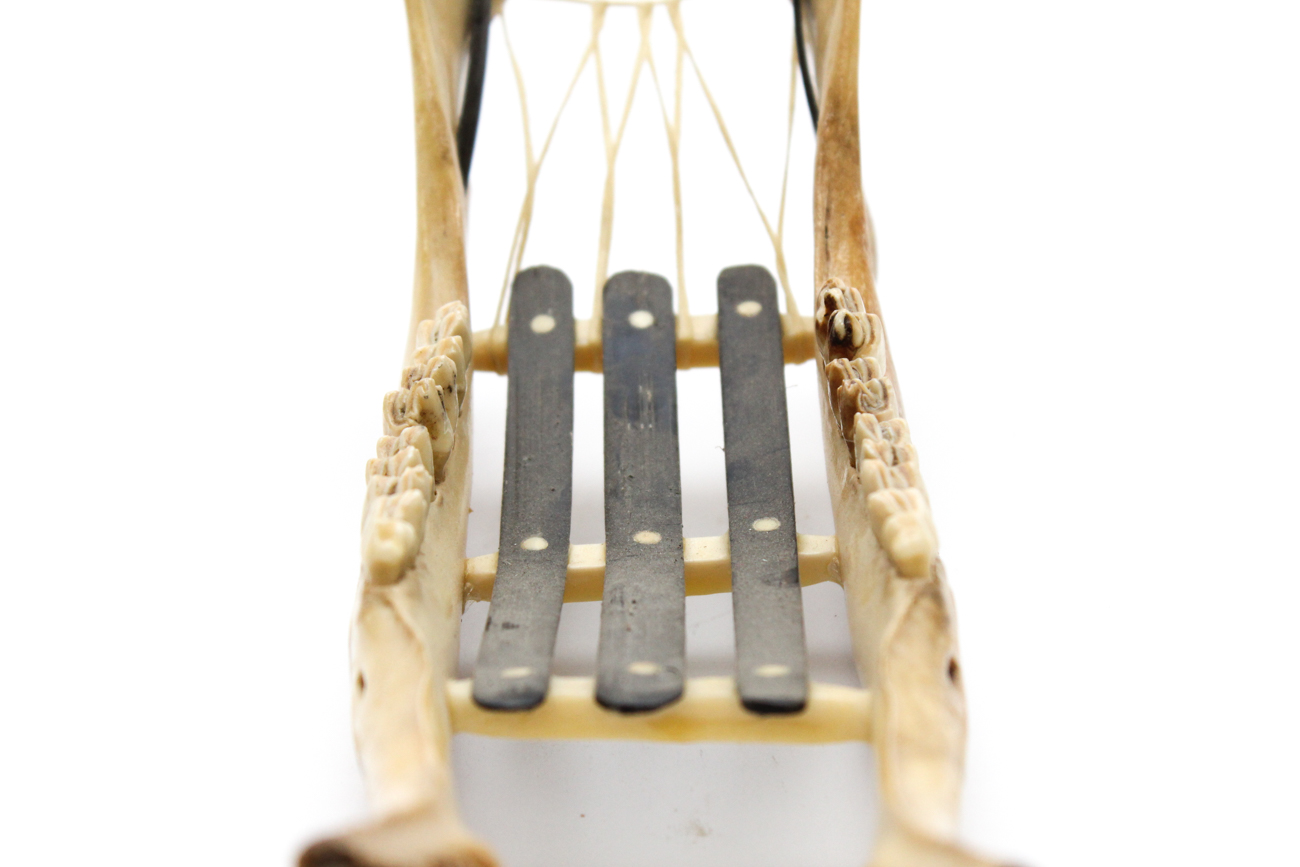 White Tail Deer Jawbone Wine Holder