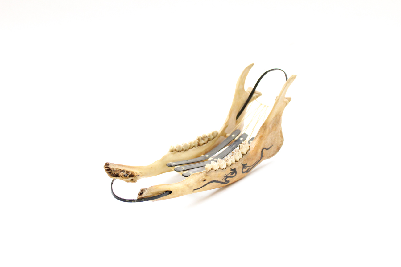 White Tail Deer Jawbone Wine Holder