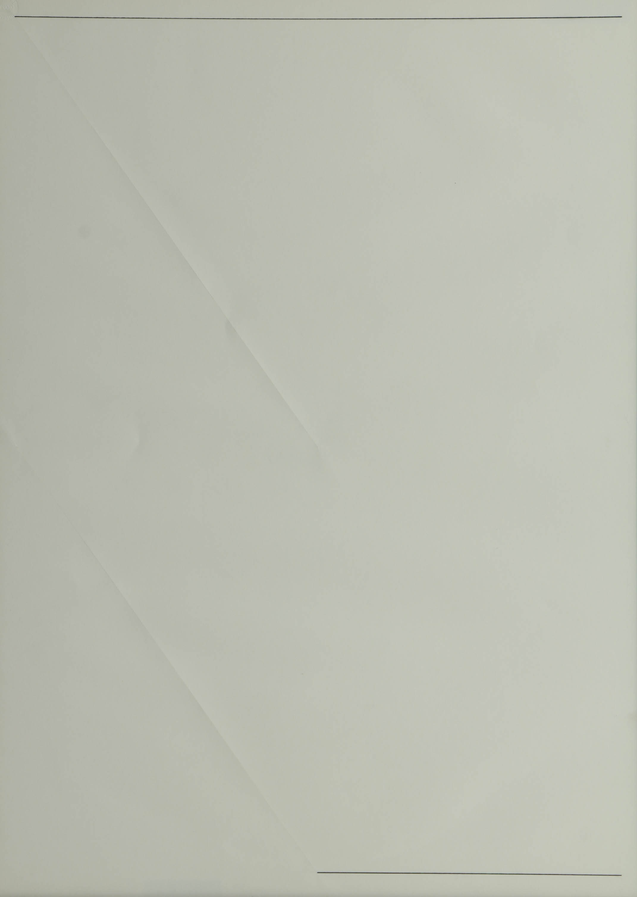 Nicholas Barbieri Incised Paper with Graphite