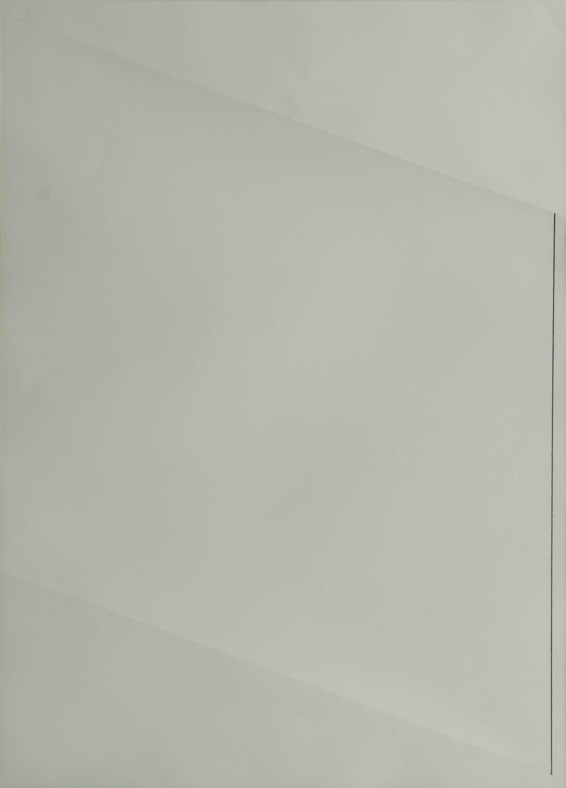 Nicholas Barbieri Incised Paper with Graphite