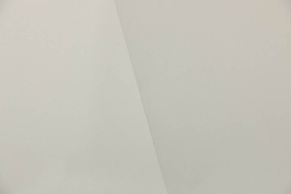 Nicholas Barbieri Incised Paper with Graphite