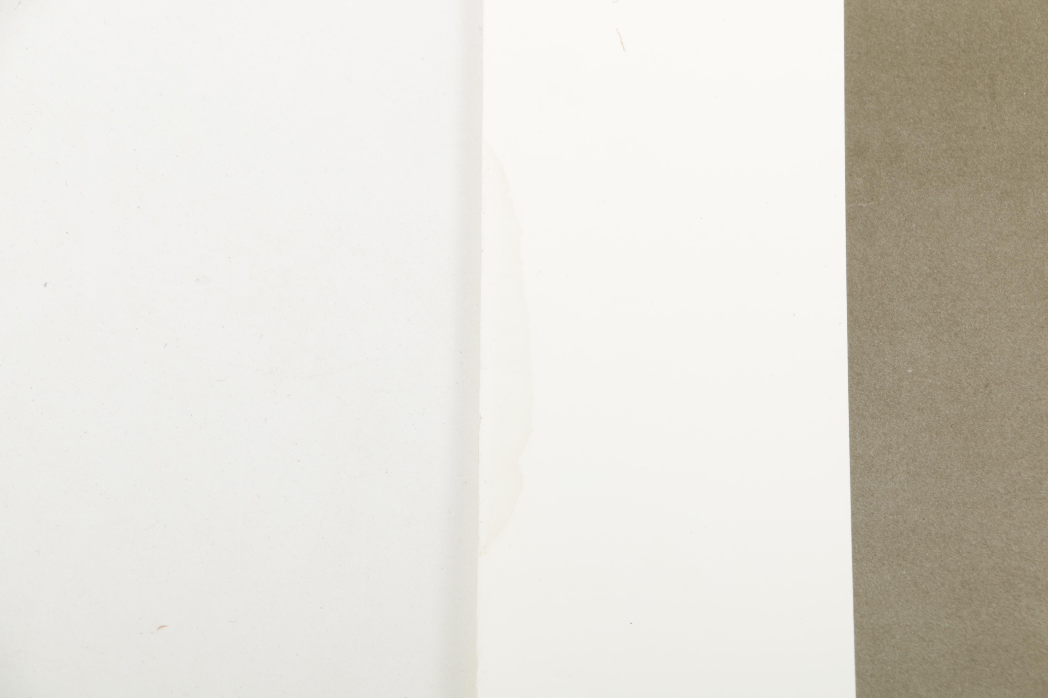 Vintage Offset Lithograph Poster After Richard Avedon "John Lennon 1940-1980"