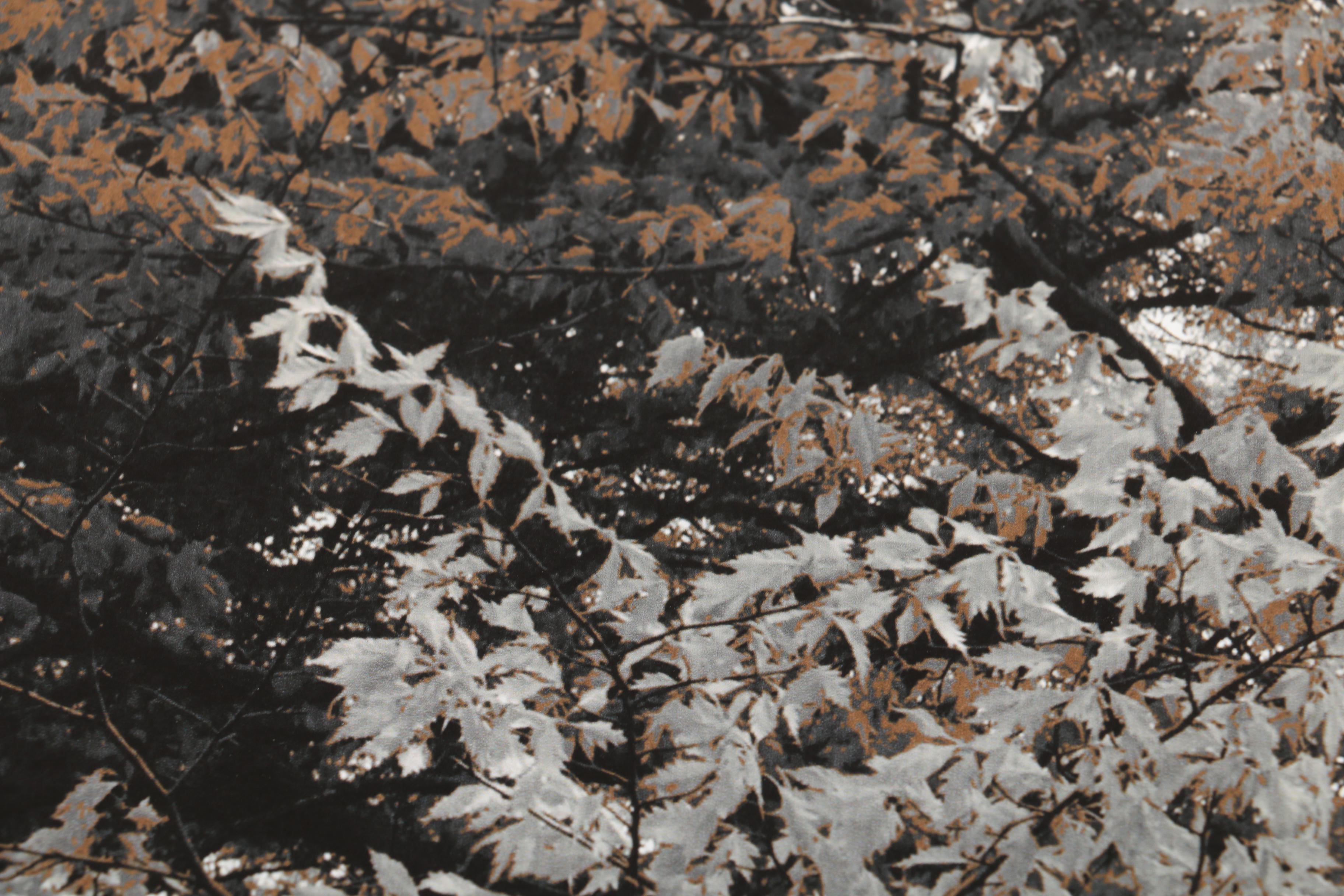 Signed Giclee Print on Paper "Early May"