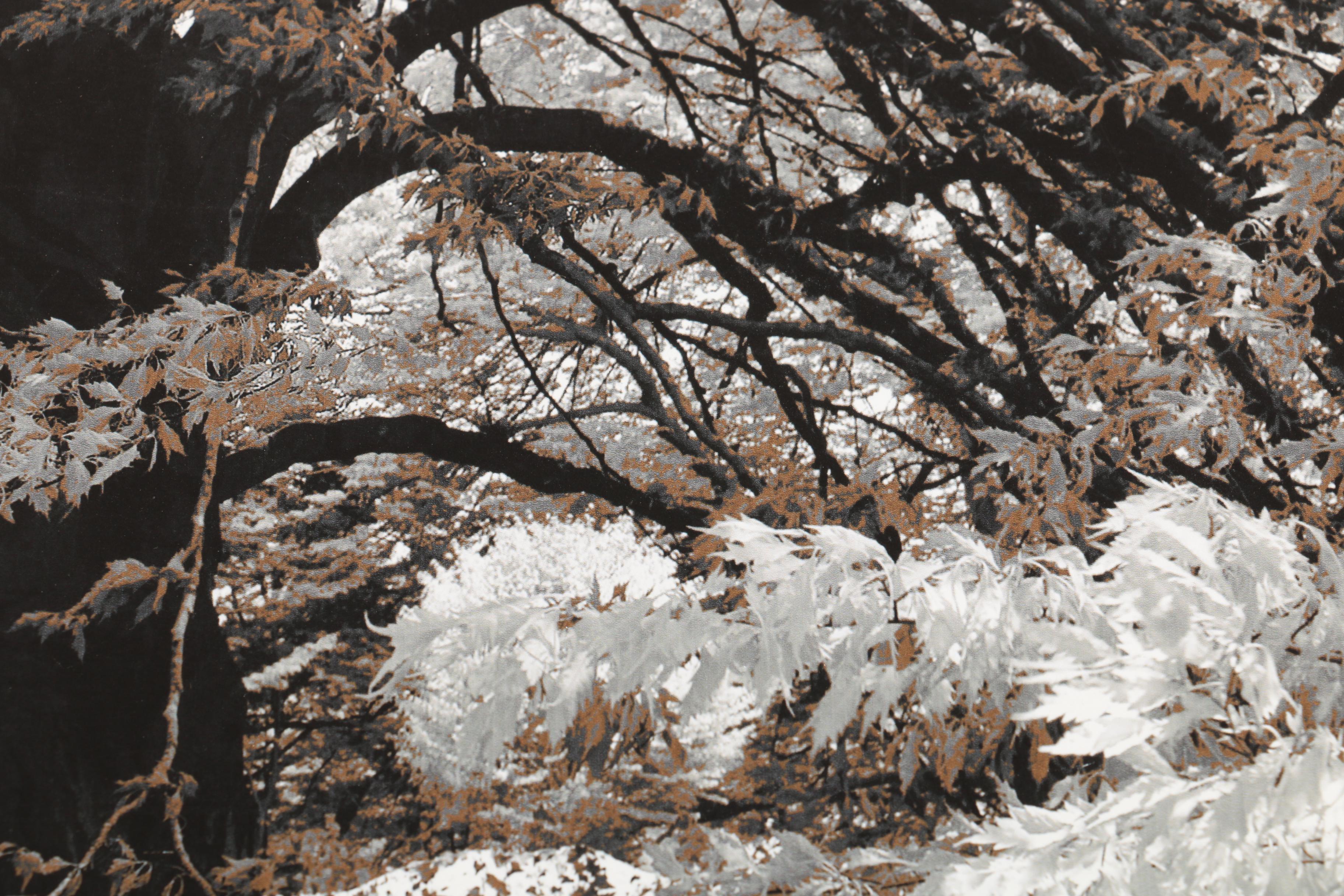 Signed Giclee Print on Paper "Early May"