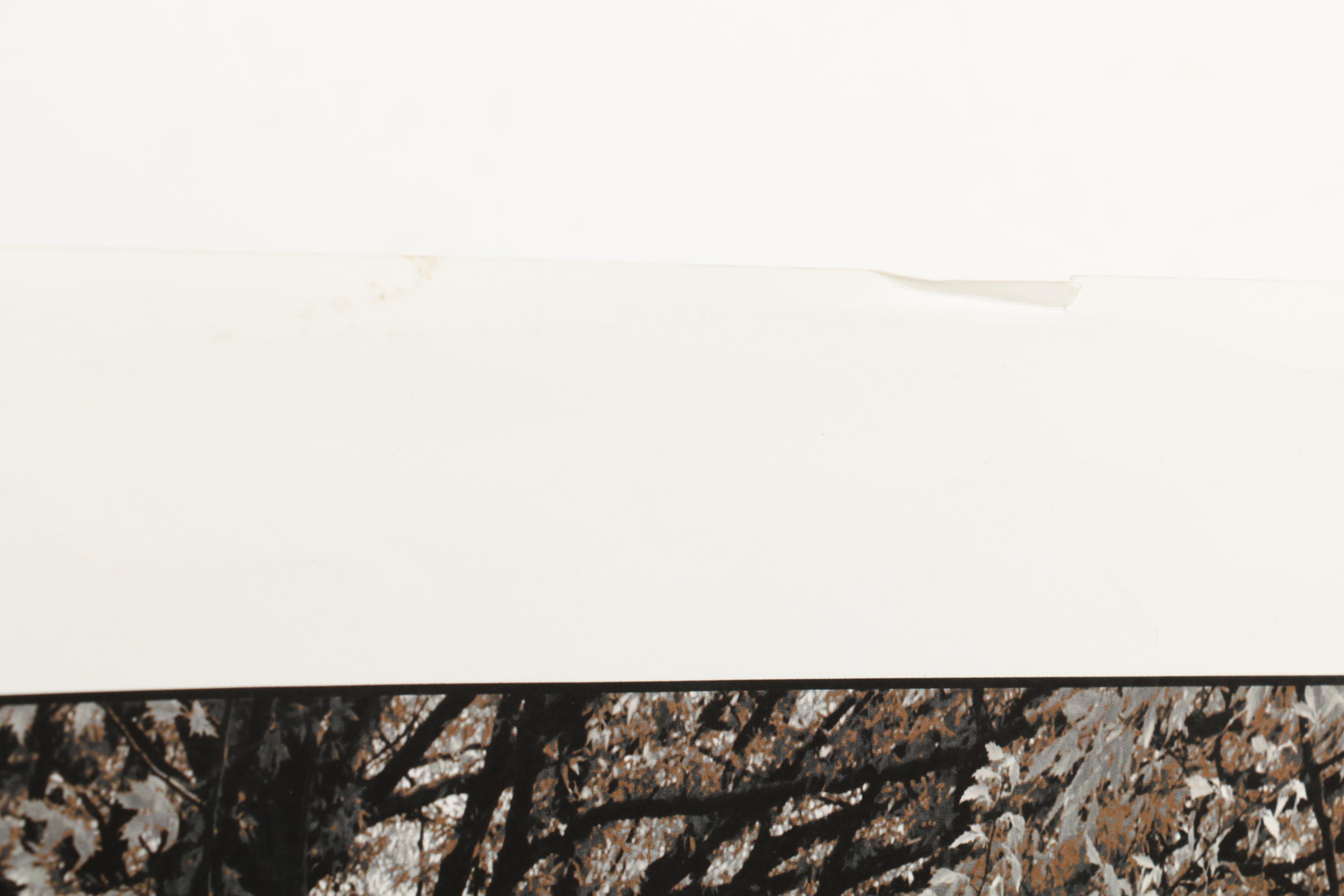 Signed Giclee Print on Paper "Early May"