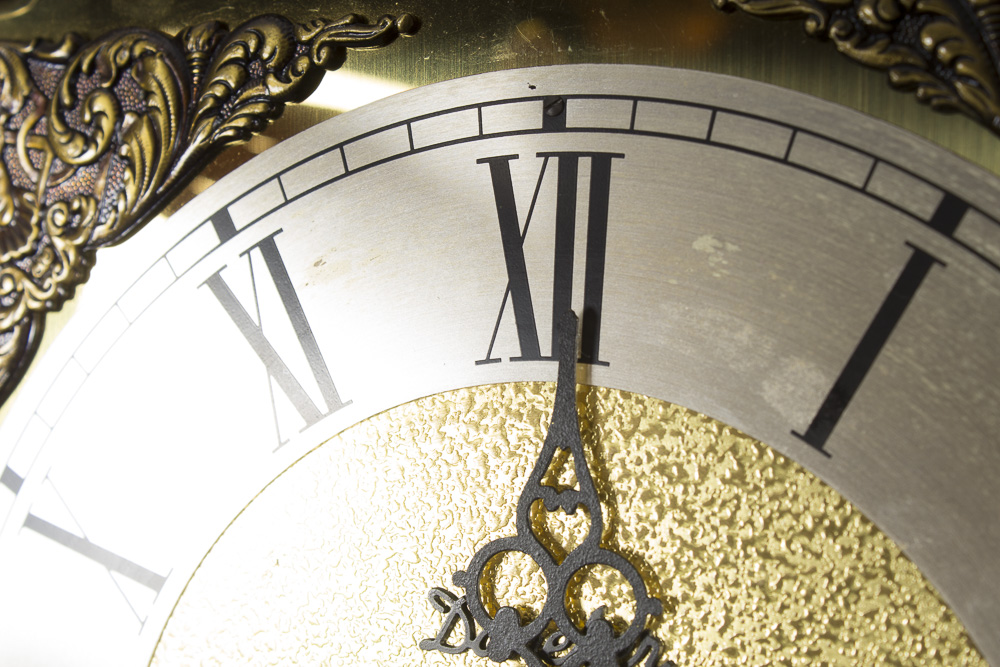 Tempus Fugit Chippendale Style Grandmother Clock by Daneker