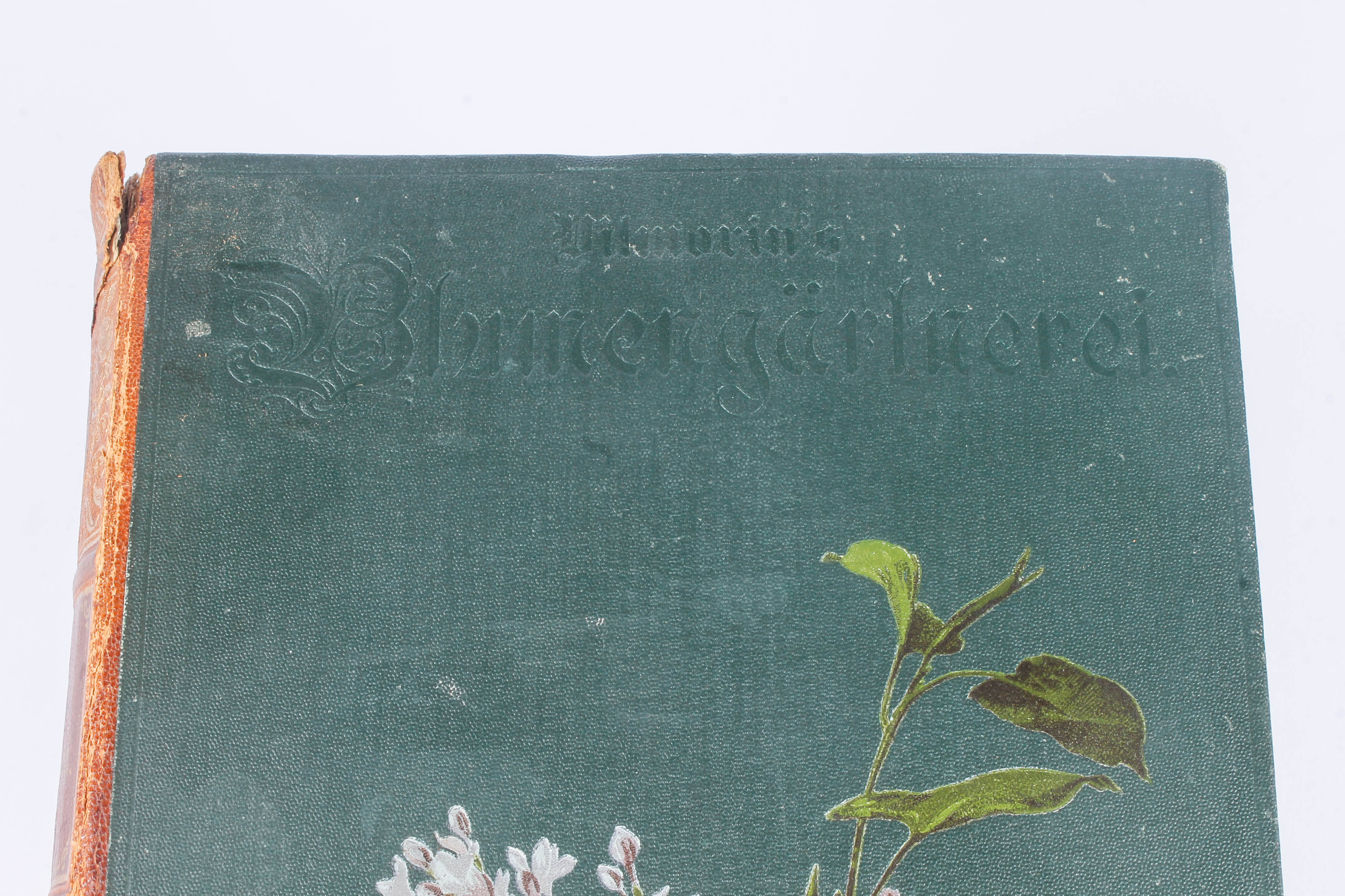 Antique Two-Volume Set of German "Blumengärtnerei" Plant Books