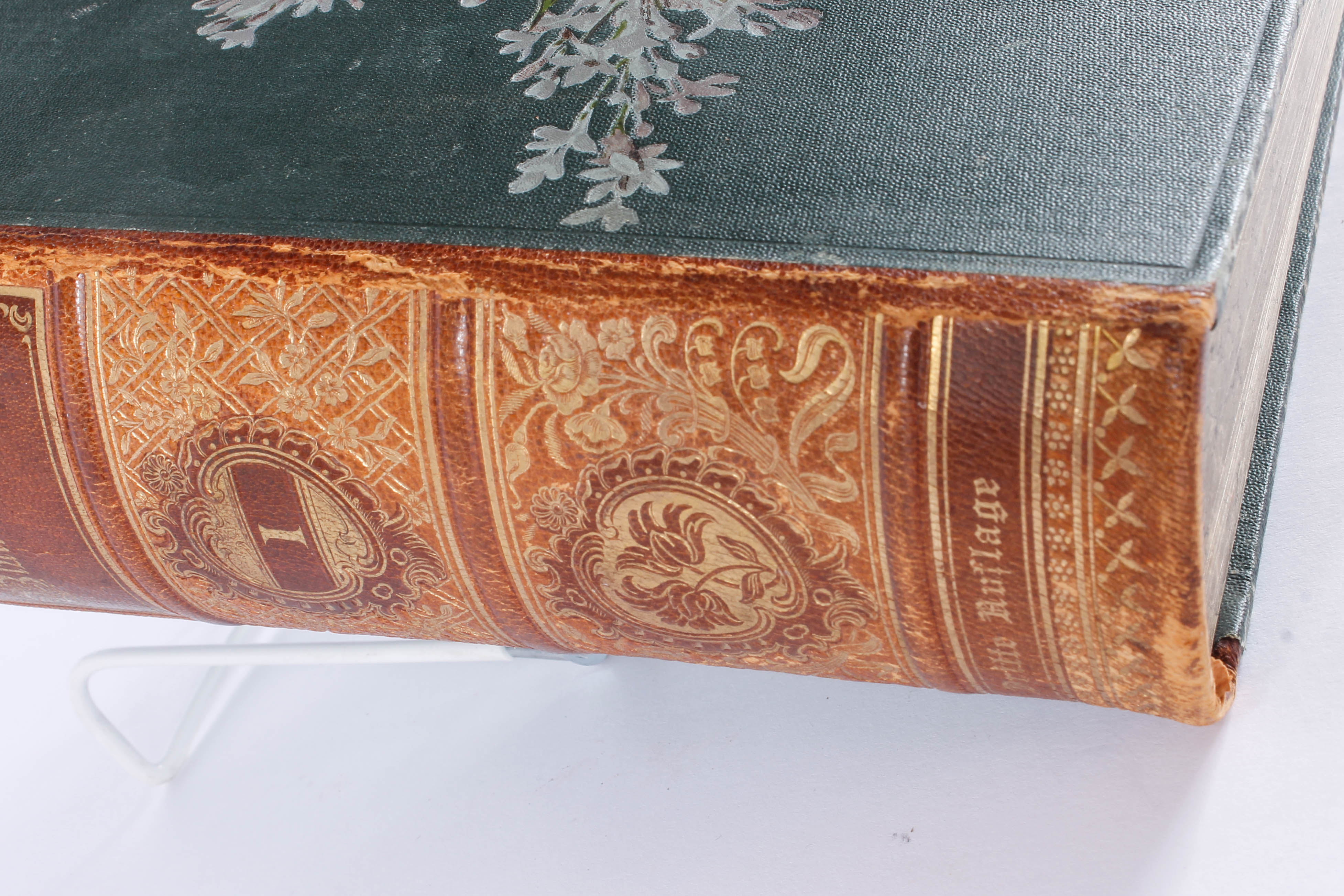 Antique Two-Volume Set of German "Blumengärtnerei" Plant Books