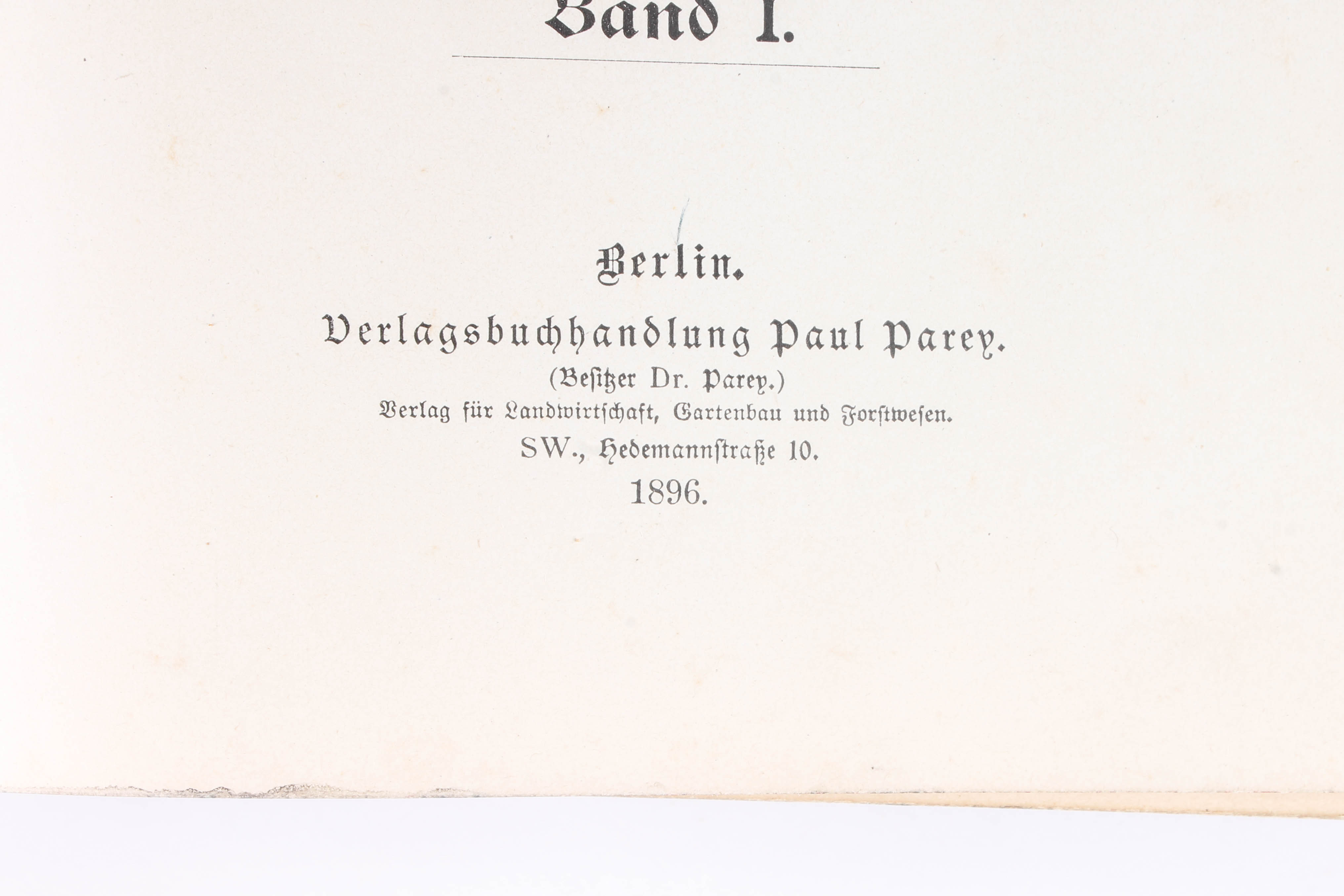 Antique Two-Volume Set of German "Blumengärtnerei" Plant Books