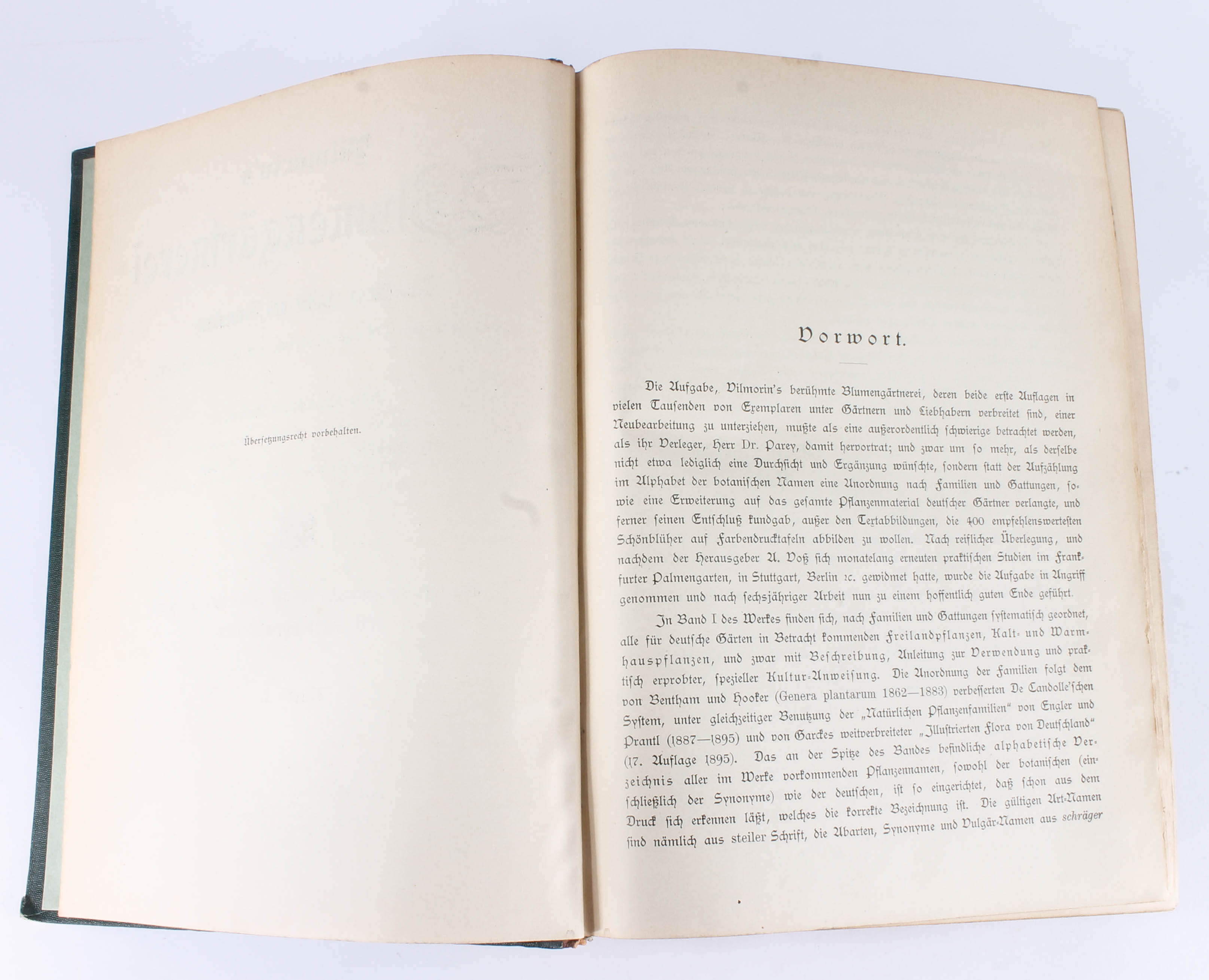 Antique Two-Volume Set of German "Blumengärtnerei" Plant Books