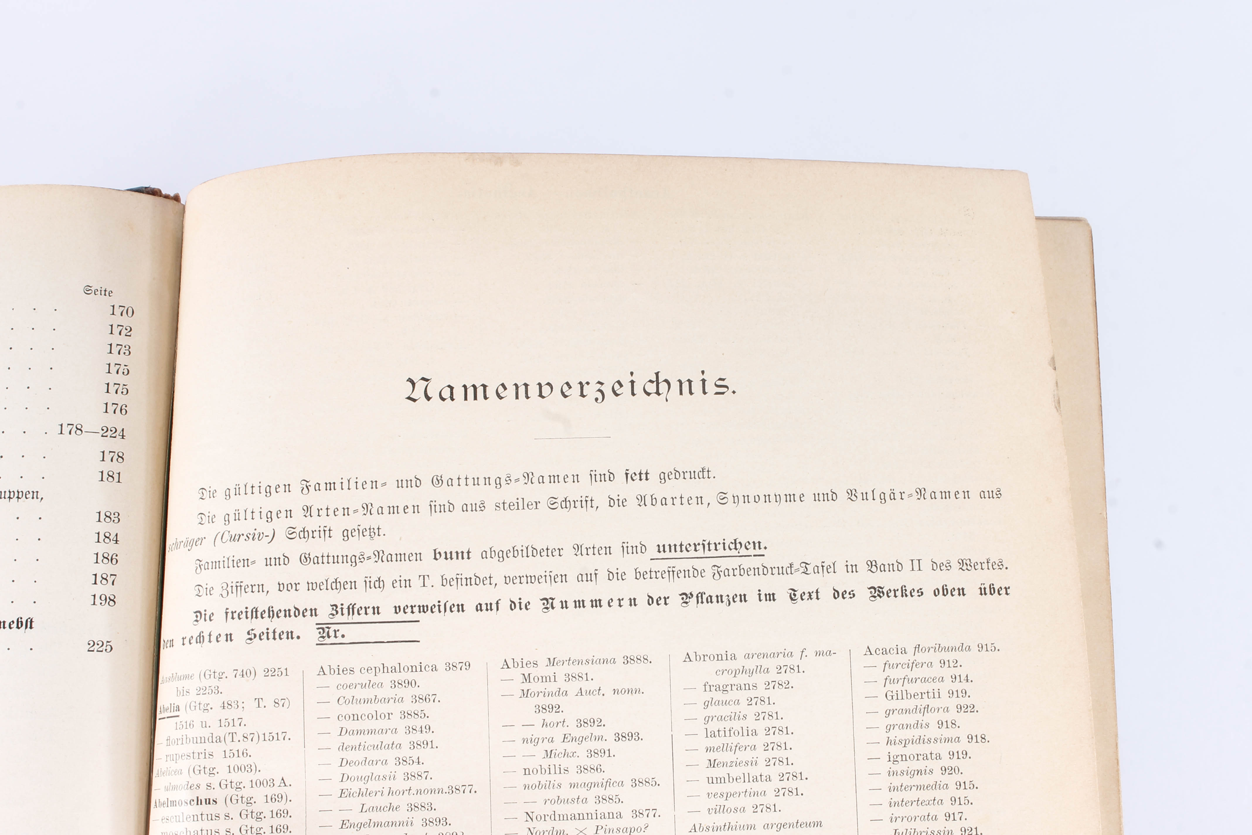 Antique Two-Volume Set of German "Blumengärtnerei" Plant Books