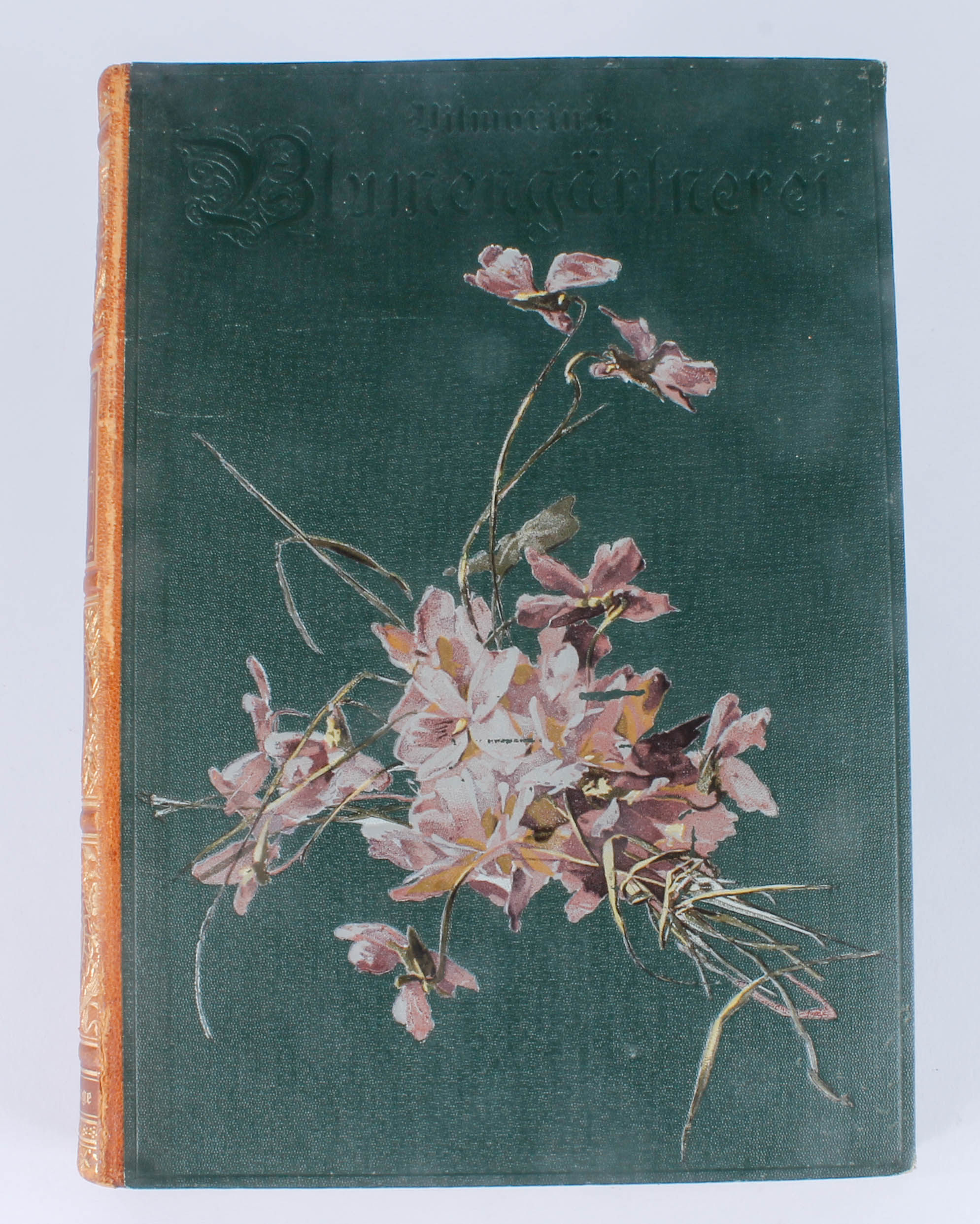 Antique Two-Volume Set of German "Blumengärtnerei" Plant Books