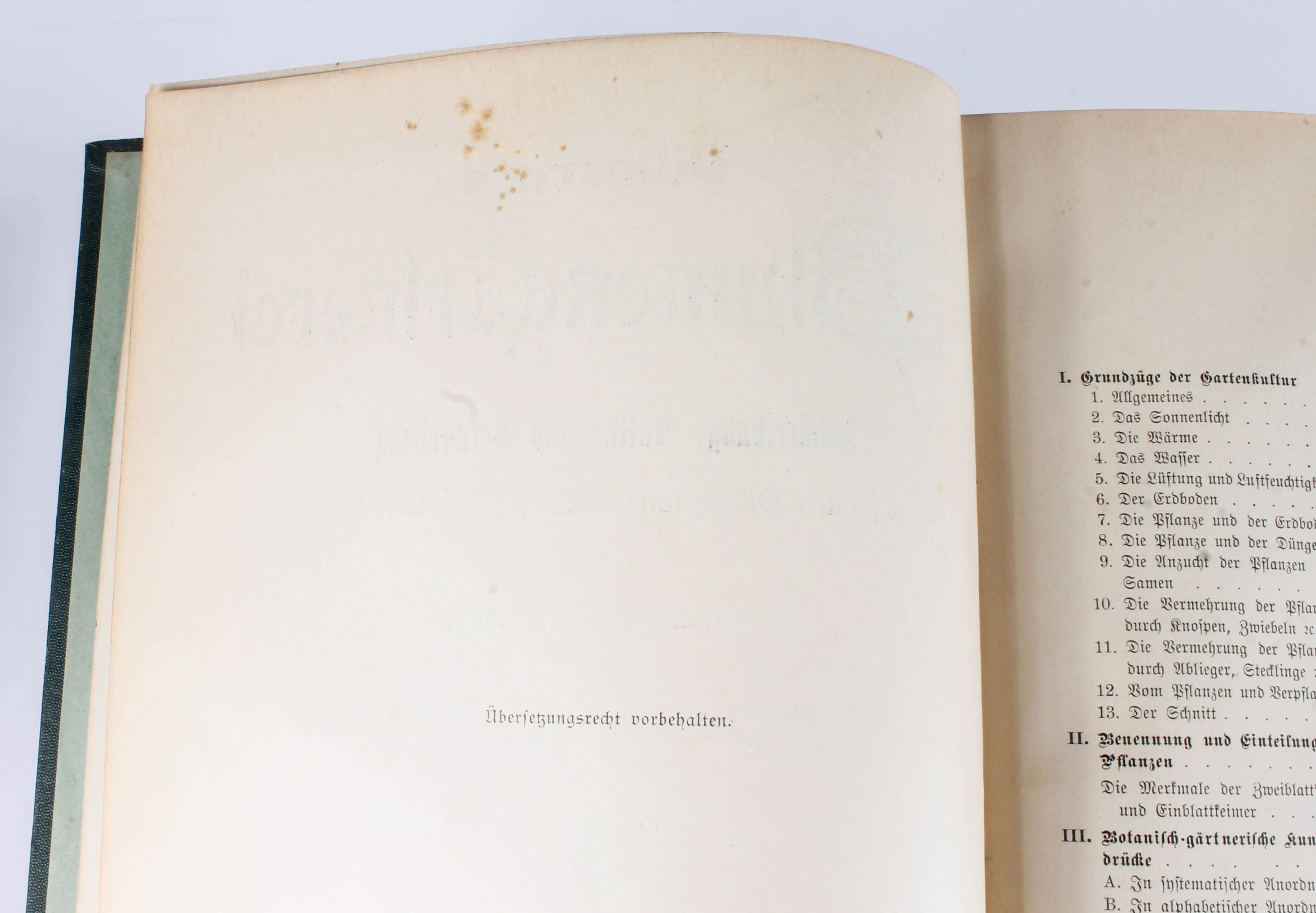 Antique Two-Volume Set of German "Blumengärtnerei" Plant Books