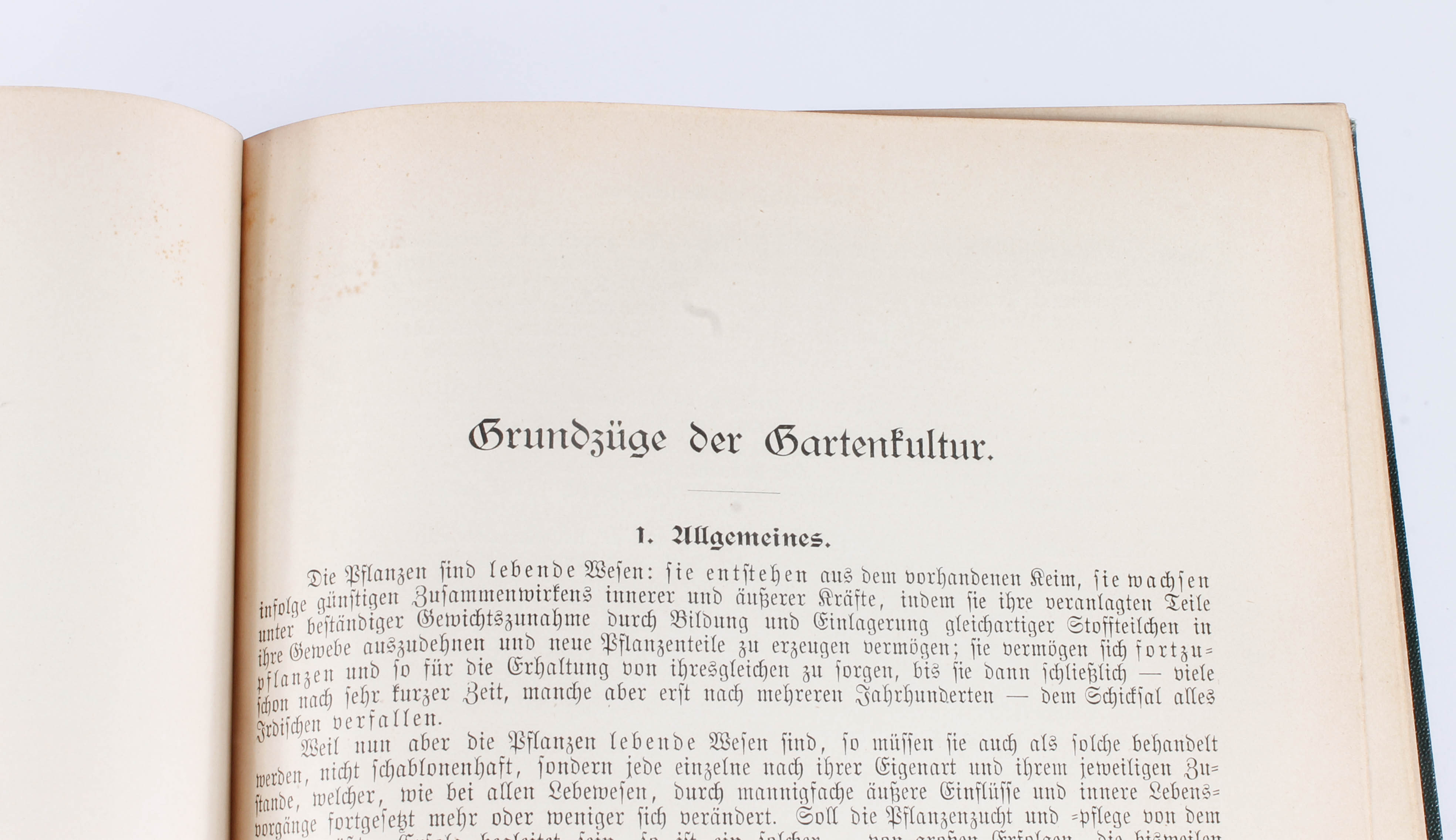 Antique Two-Volume Set of German "Blumengärtnerei" Plant Books