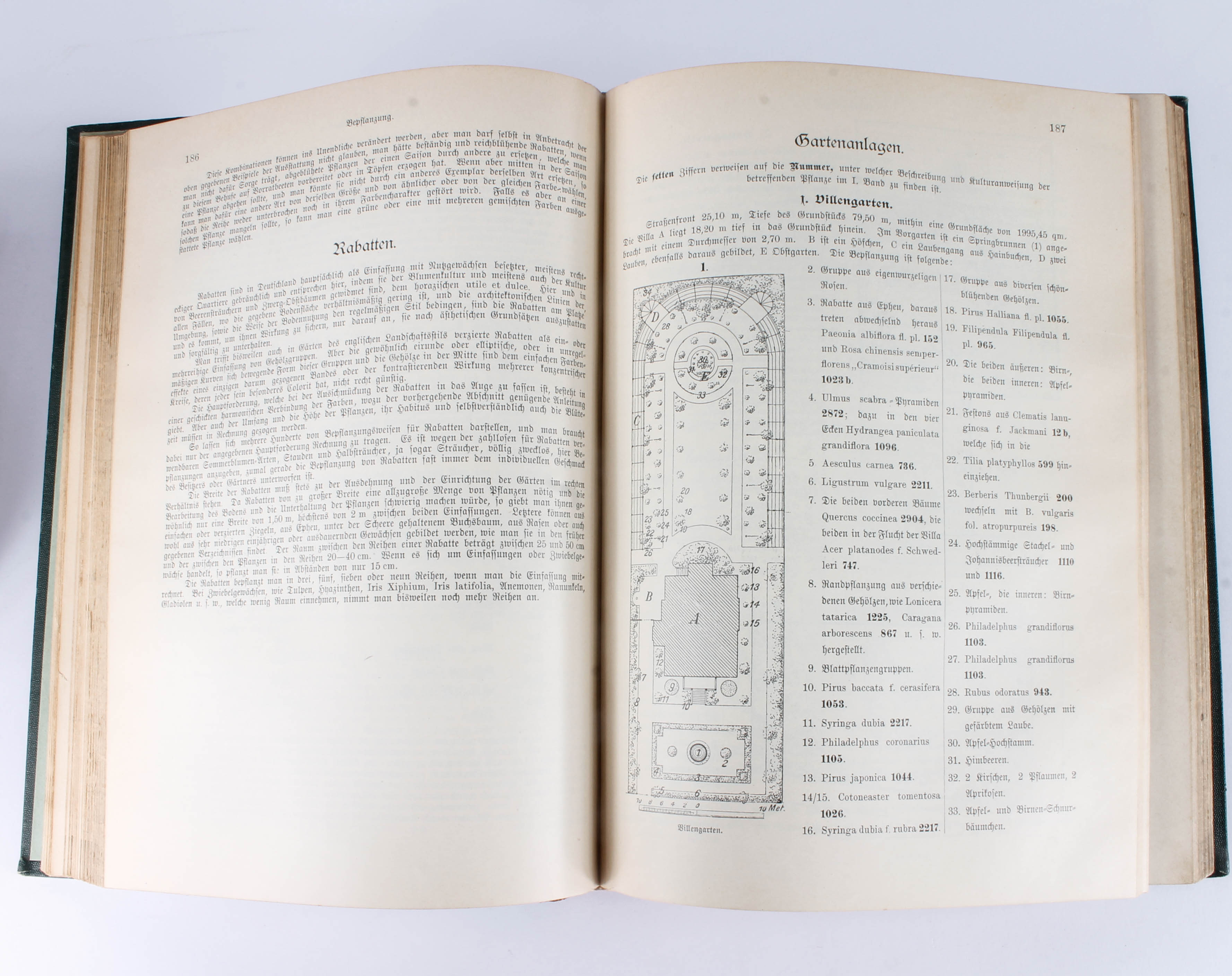 Antique Two-Volume Set of German "Blumengärtnerei" Plant Books