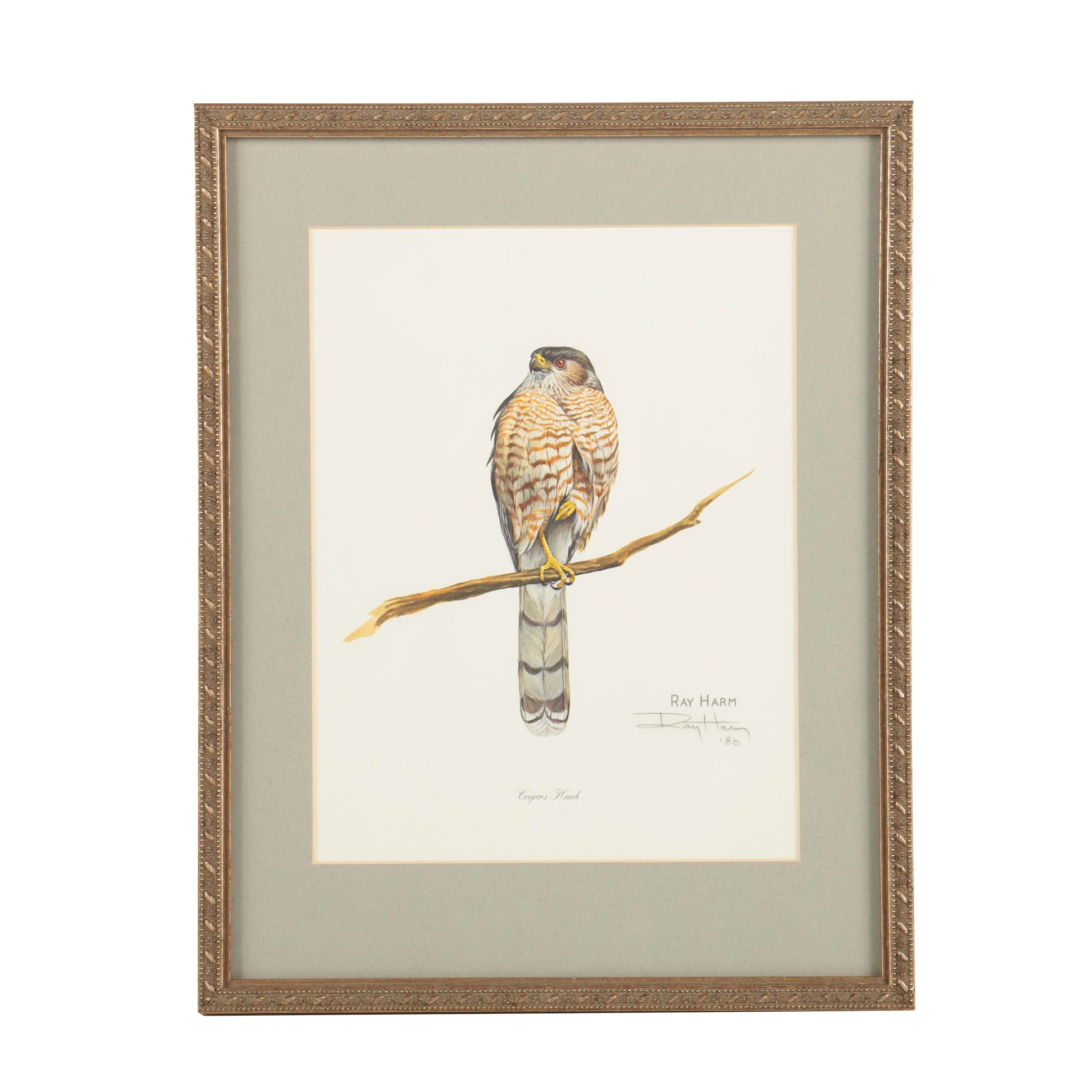 Offset Lithograph on Paper After Ray Harm "Cooper's Hawk"