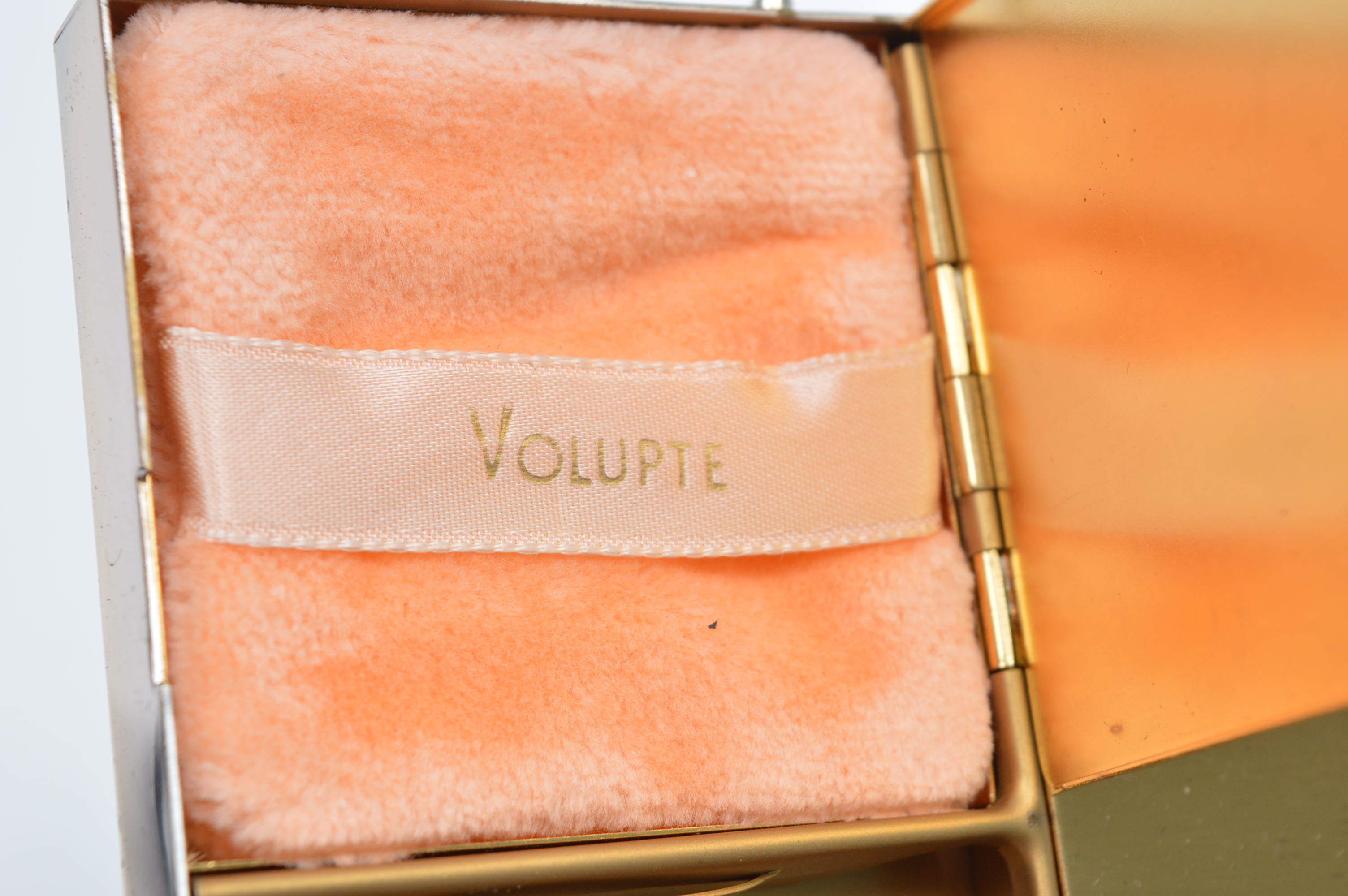 Volupte Compact Case with Carrier