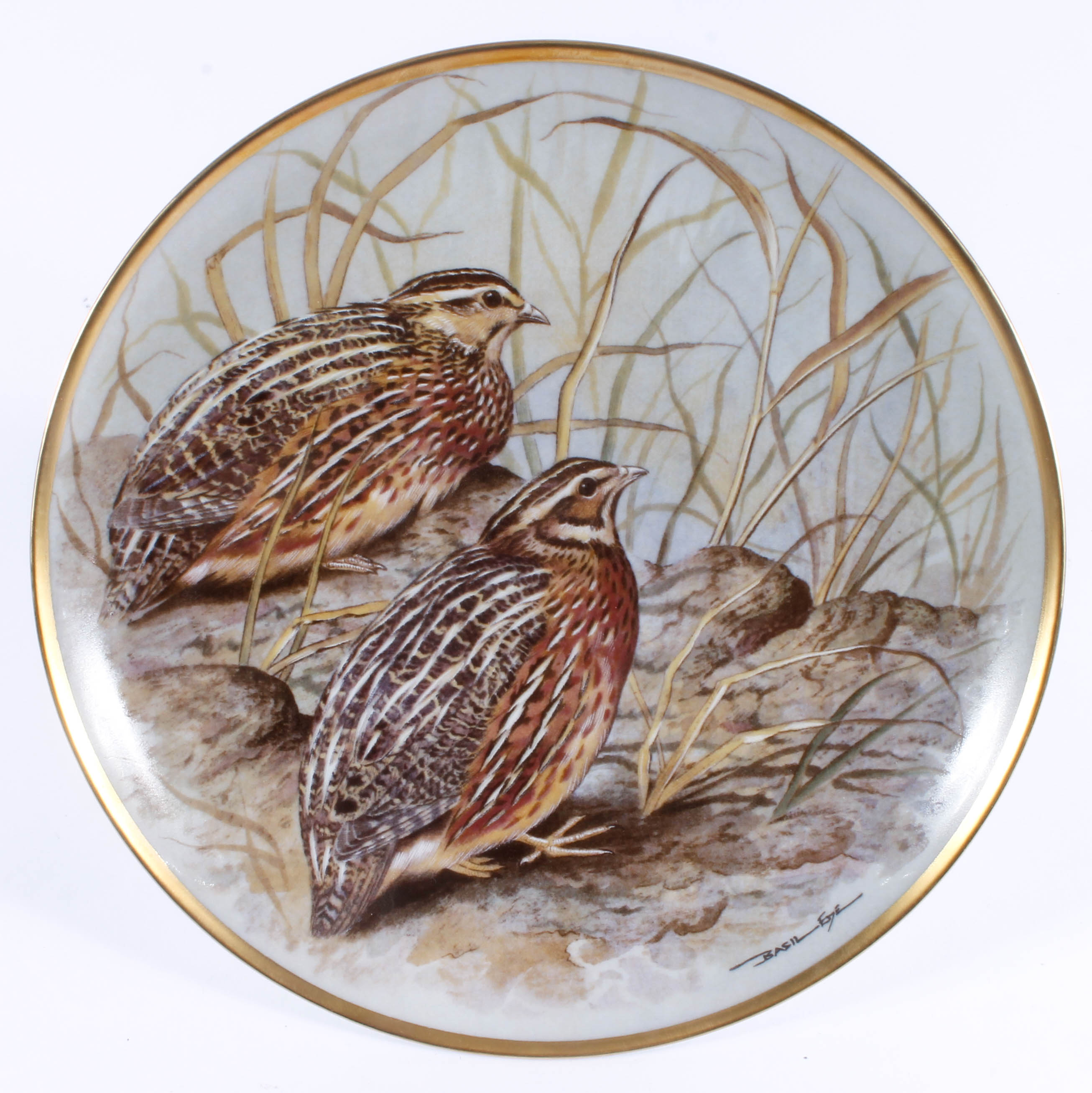 Set of Bird-Themed Decorative Collector's Plates