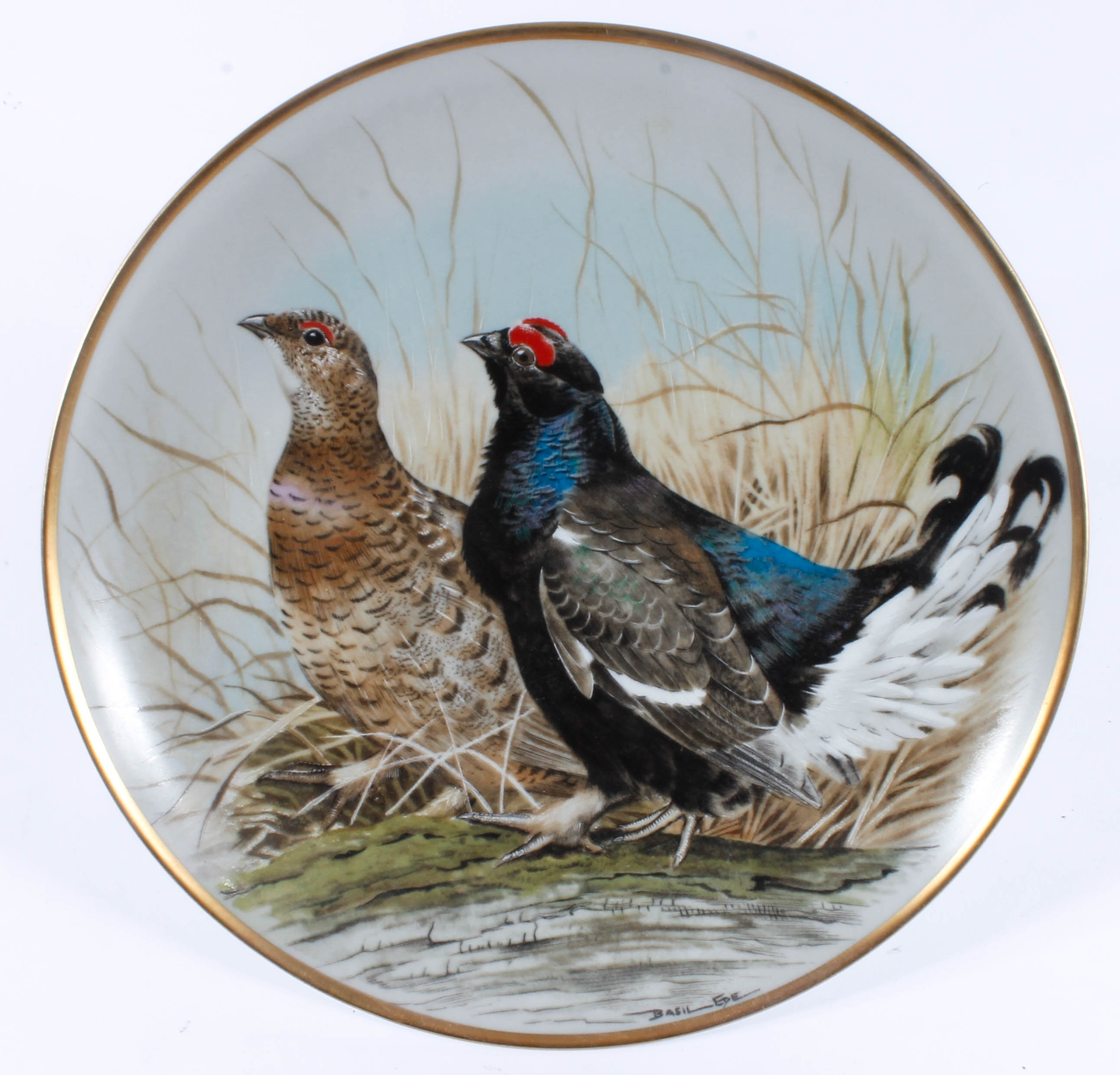 Set of Bird-Themed Decorative Collector's Plates