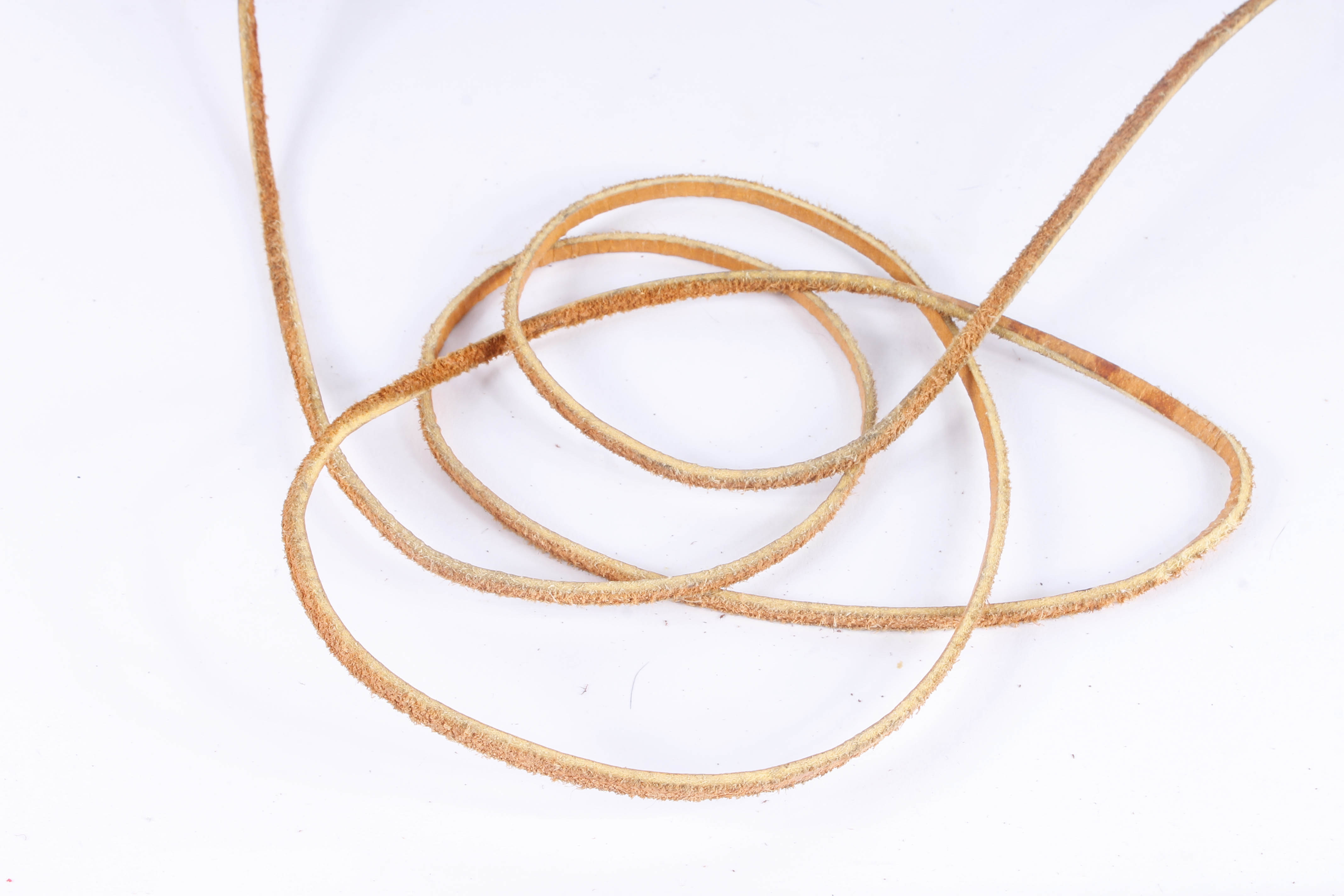 Collection of Gunpowder Horns