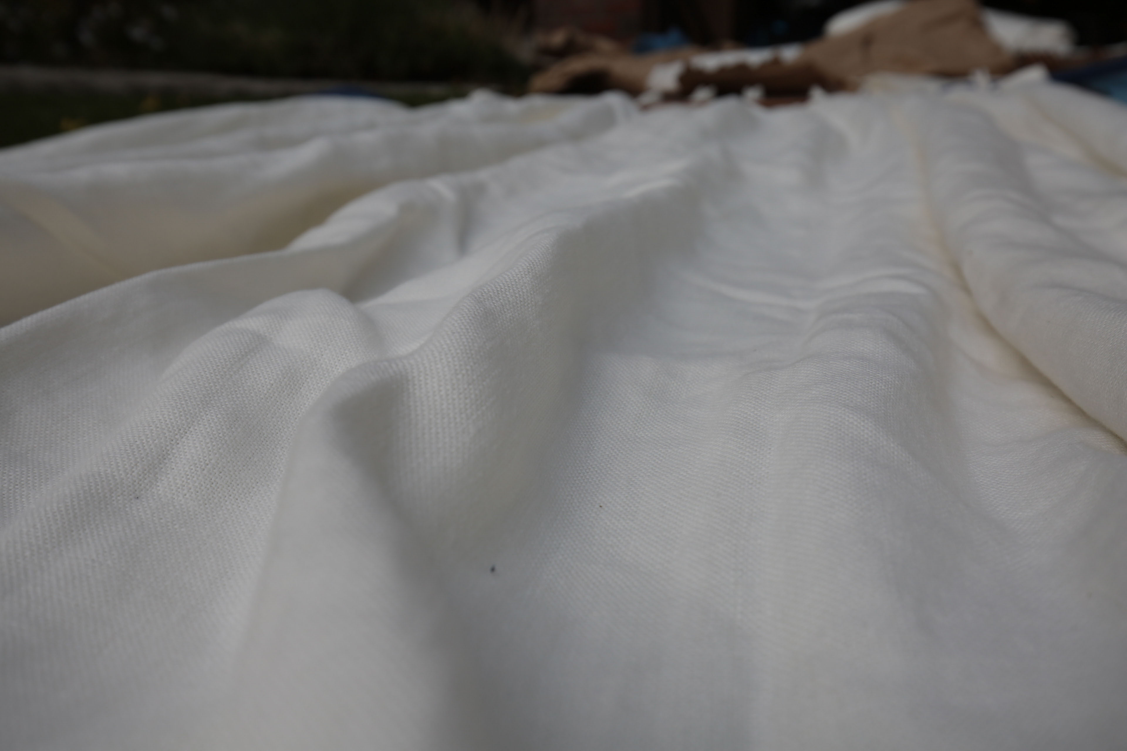 Restoration Hardware Linen Curtains with Rod