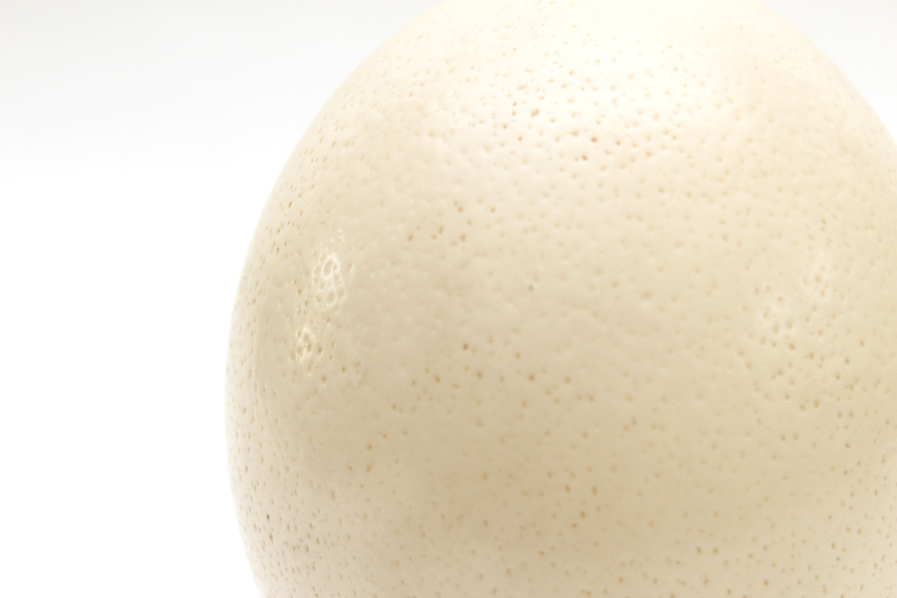 Ostrich Egg With An Ornate Metal Stand
