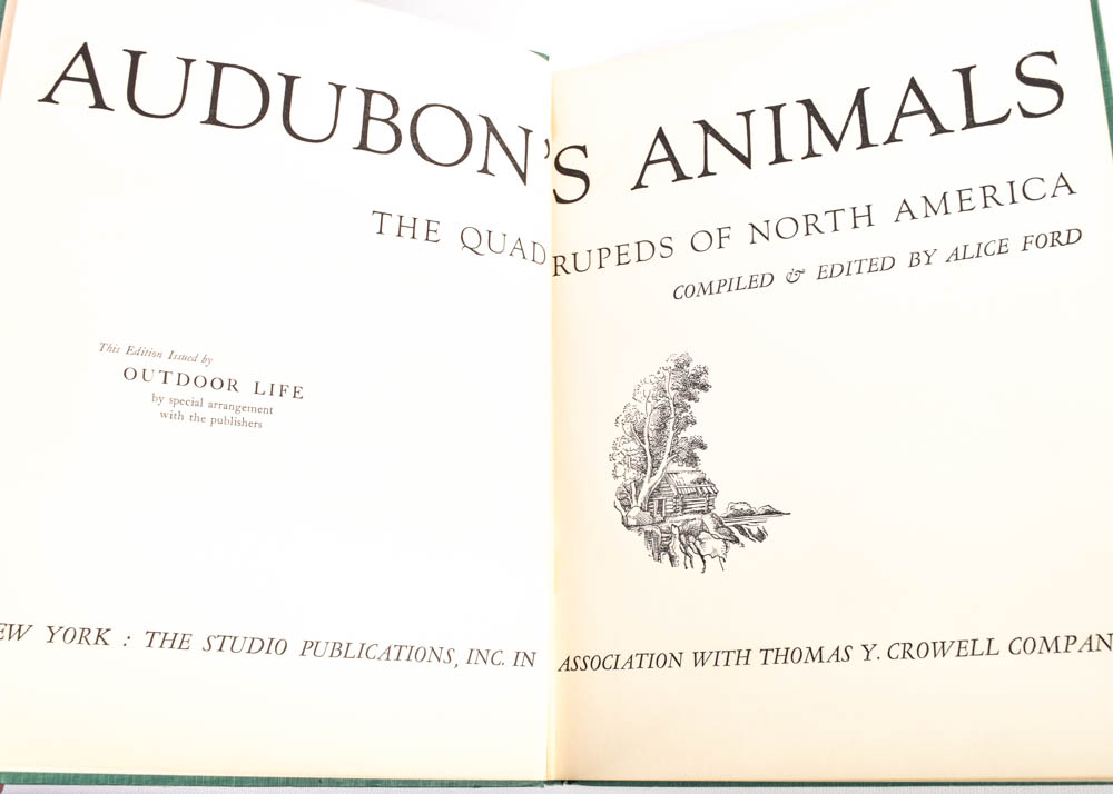 Collection of Coffee Table Art Books