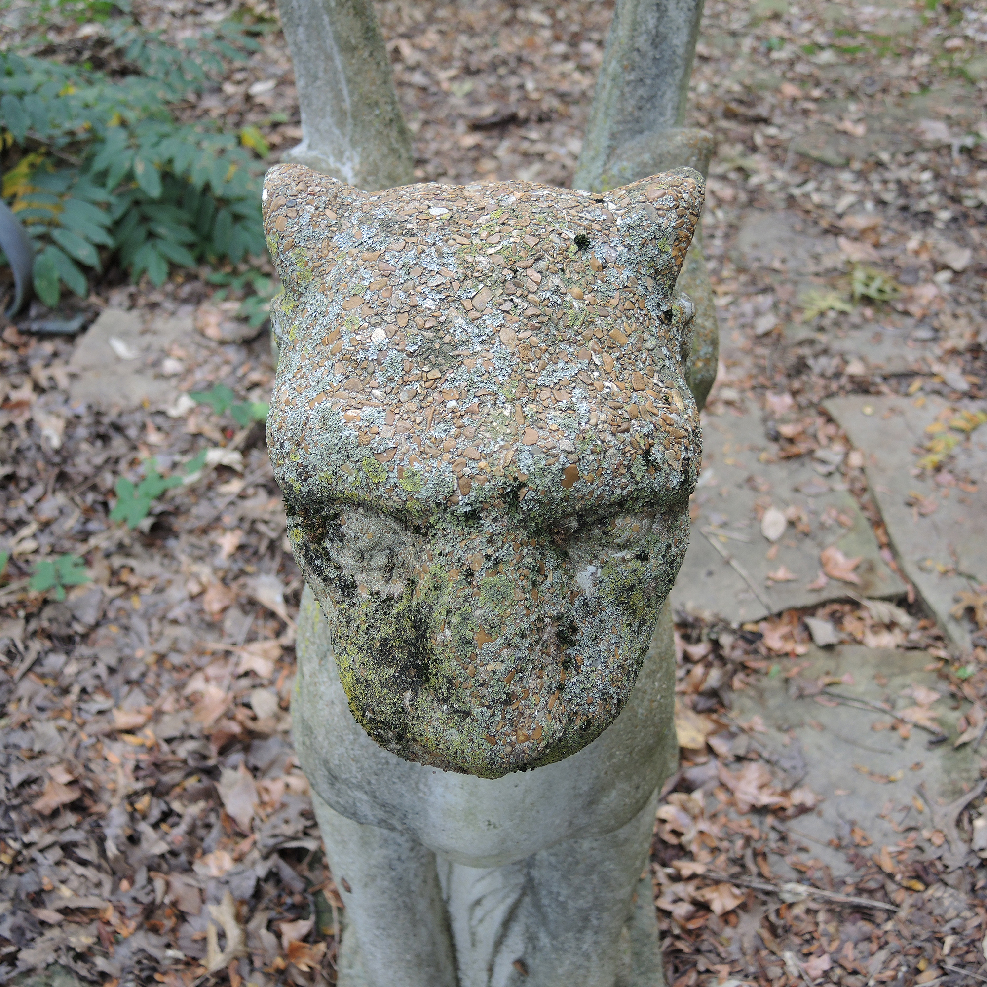 Griffin Winged Lion Garden Statue Pair