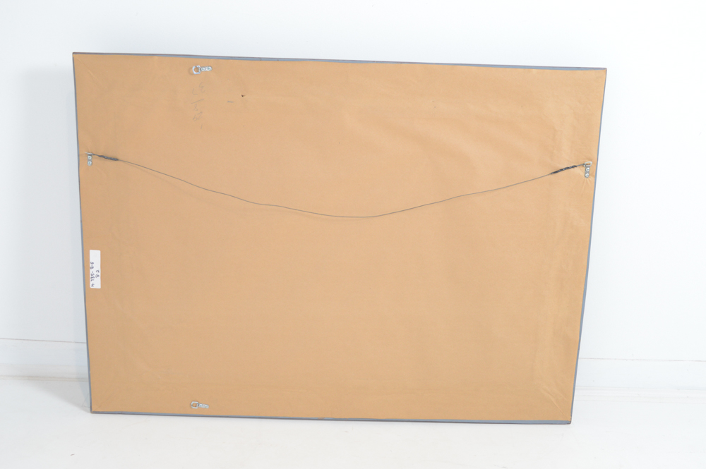 Ornate Framed Picture Mirror