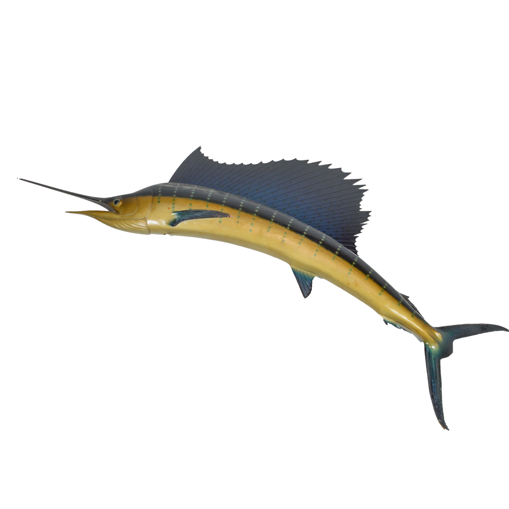 Sailfish Mount Replica Taxidermy