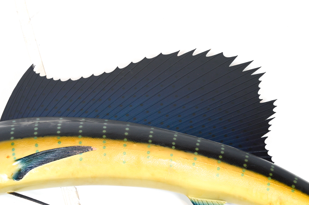 Sailfish Mount Replica Taxidermy