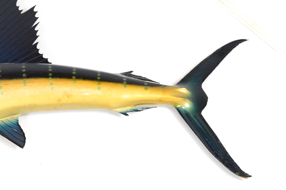 Sailfish Mount Replica Taxidermy