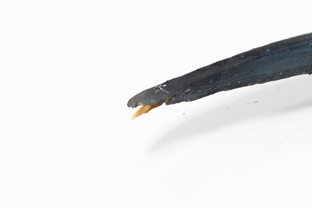 Sailfish Mount Replica Taxidermy