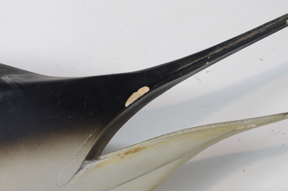 Sailfish Mount Replica Taxidermy