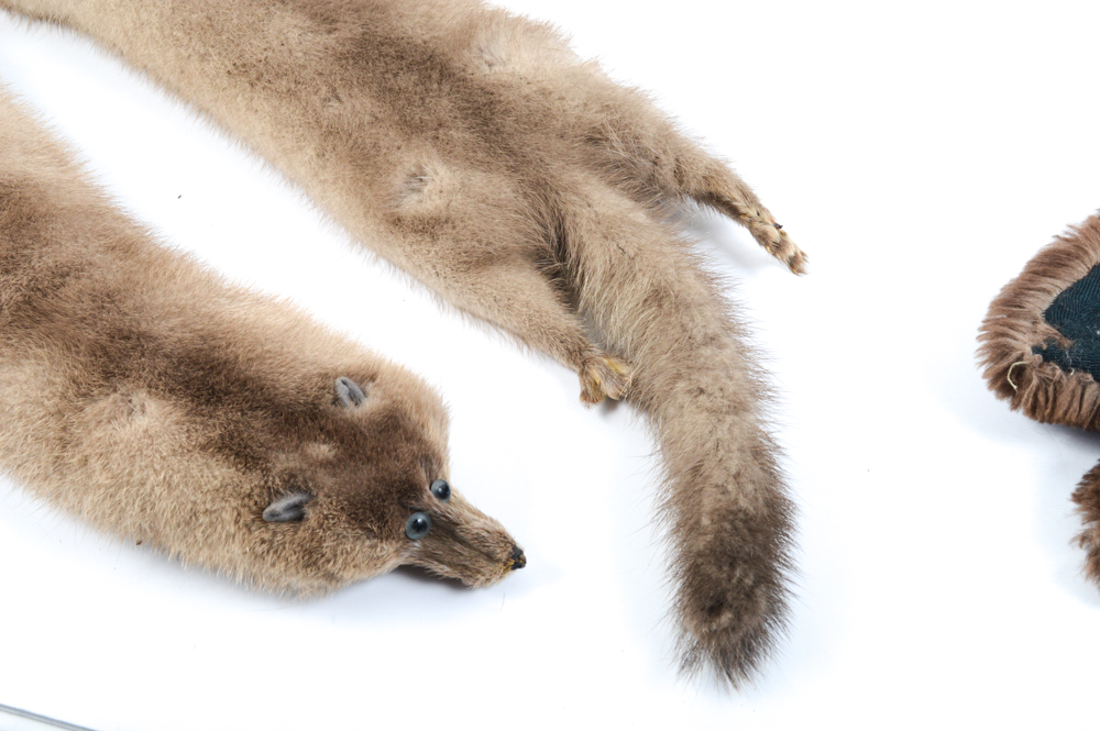 Vintage Mink Fur Pelt Stole and Sheared Beaver Fur Collar