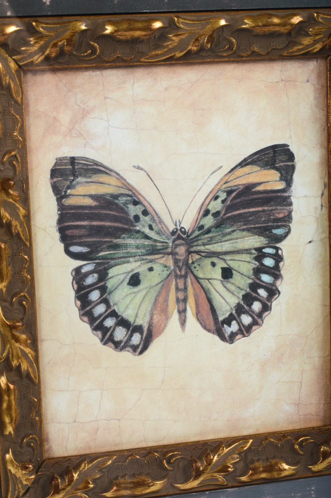 Classic Home Decor Collection