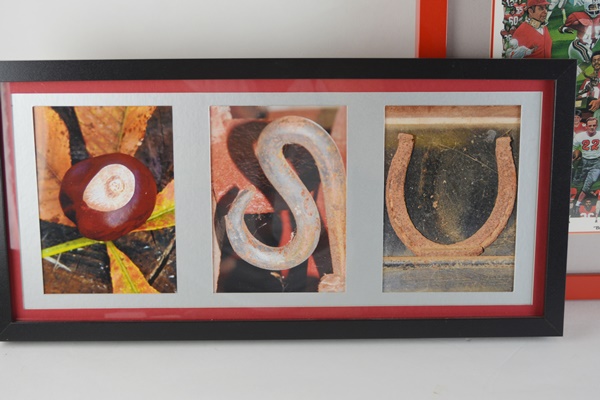 Paul Miller "Buckeye Fever" and OSU Framed Photographs