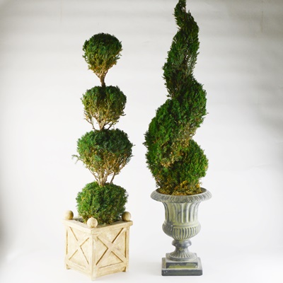 Faux Topiaries In Ceramic Planters