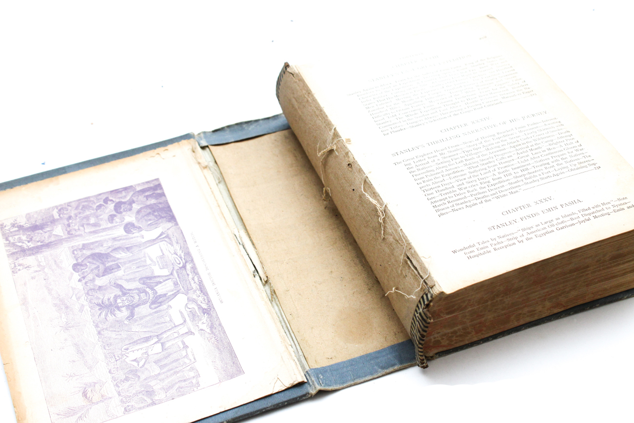 Rare Volume Of "Sharon Springs" With Other Antique Nonfiction and Fiction Books