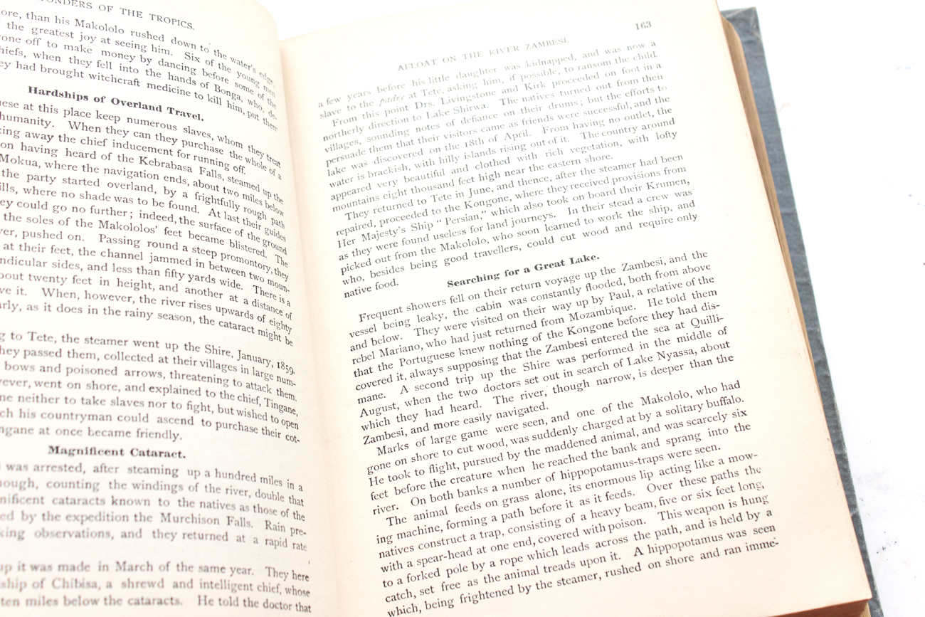 Rare Volume Of "Sharon Springs" With Other Antique Nonfiction and Fiction Books