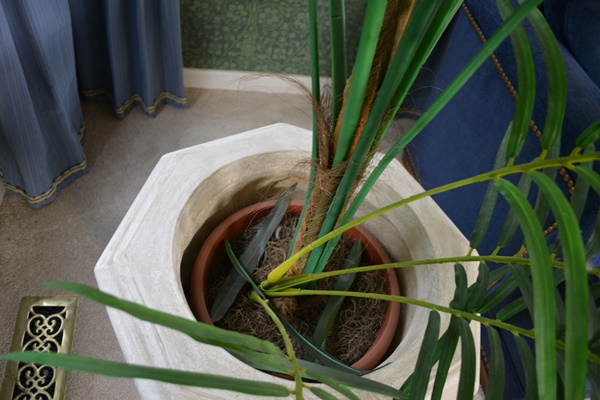 Faux Palm and Octagonal Resin Planter